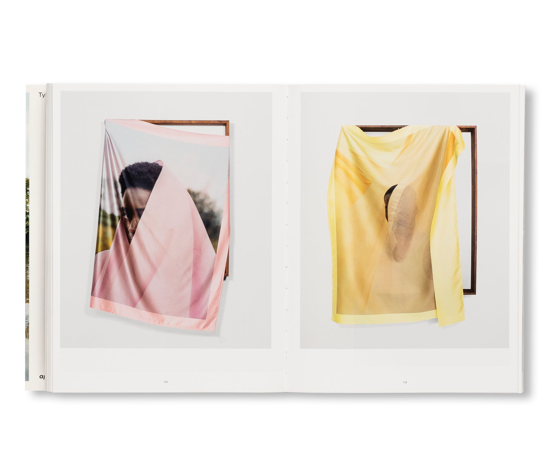 WISH THIS WAS REAL by Tyler Mitchell