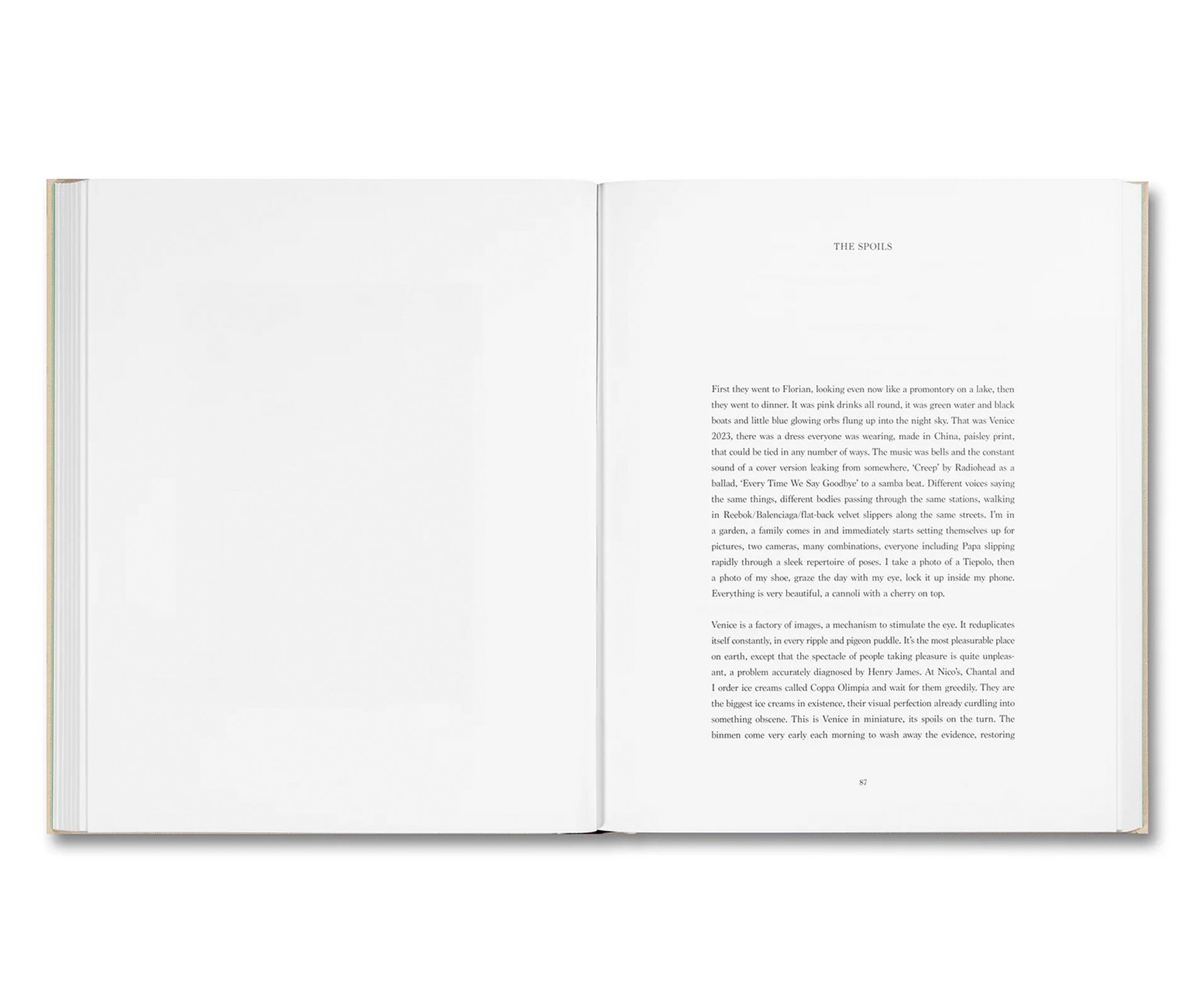 PAINTING WRITING TEXTING by Chantal Joffe, Olivia Laing