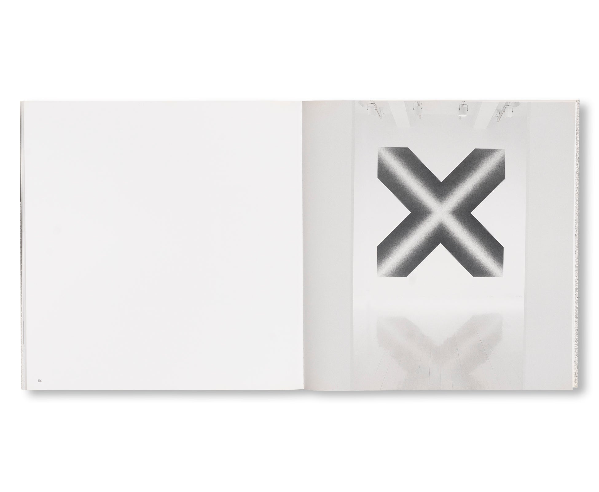 SCRIBBLE WALL DRAWINGS by Sol LeWitt