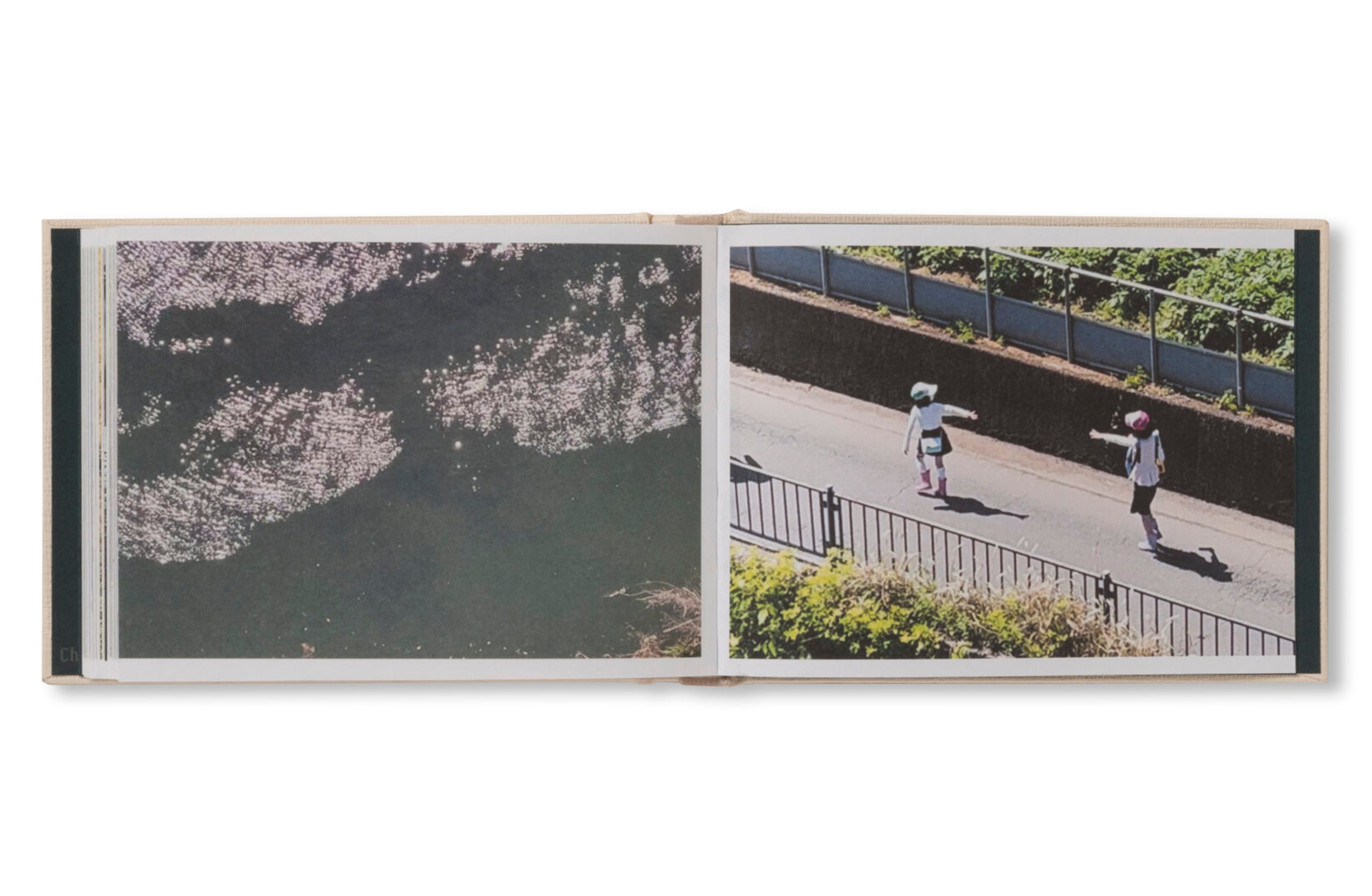 SCREENSHOTS FROM A SERIES OF VIDEOS ABOUT A RICE FIELD AND ITS SURROUNDINGS by Cintia Tortosa Santisteban