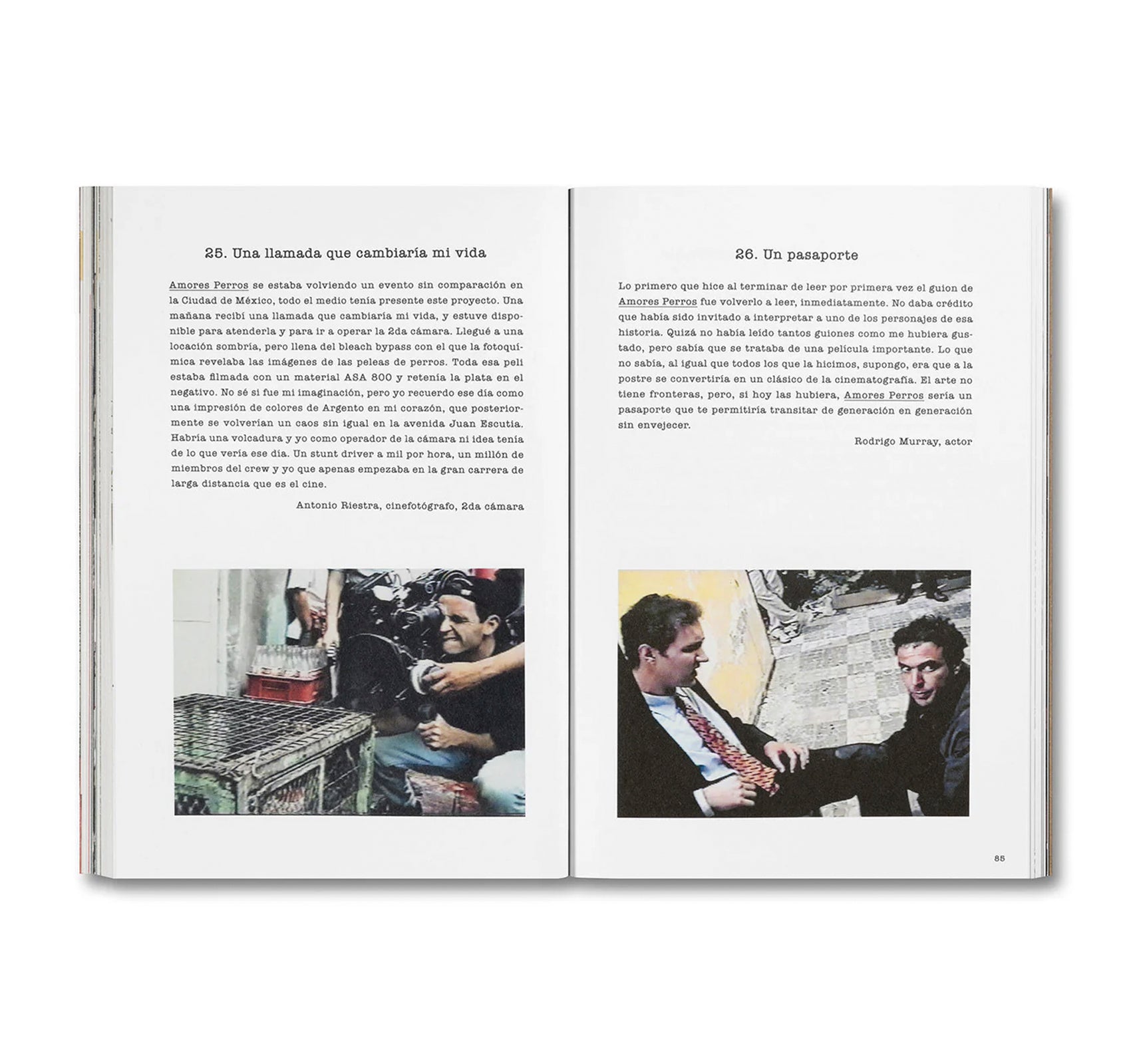 DESATAR AMORES PERROS by Fernando Llanos [SPANISH EDITION]