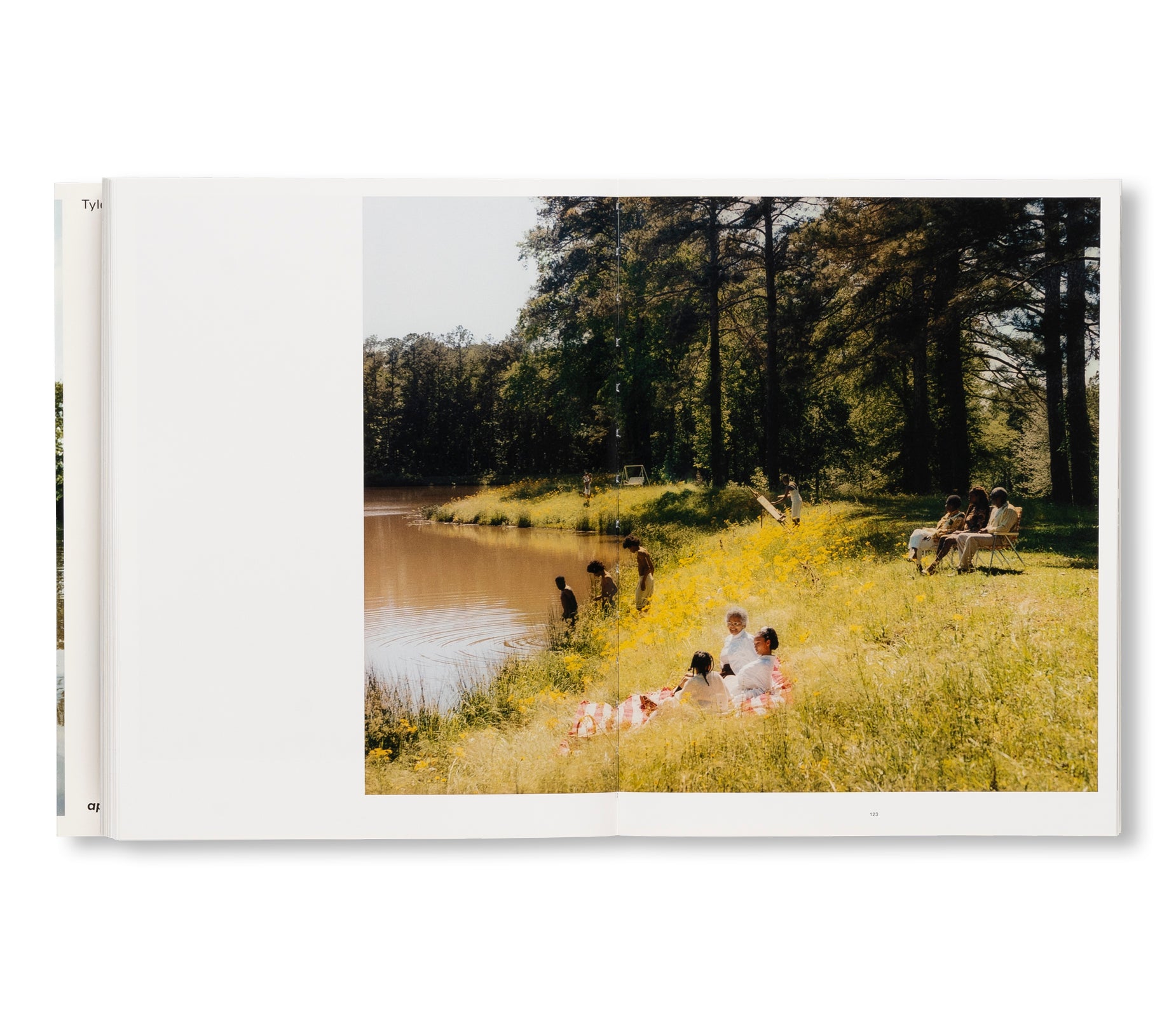 WISH THIS WAS REAL by Tyler Mitchell