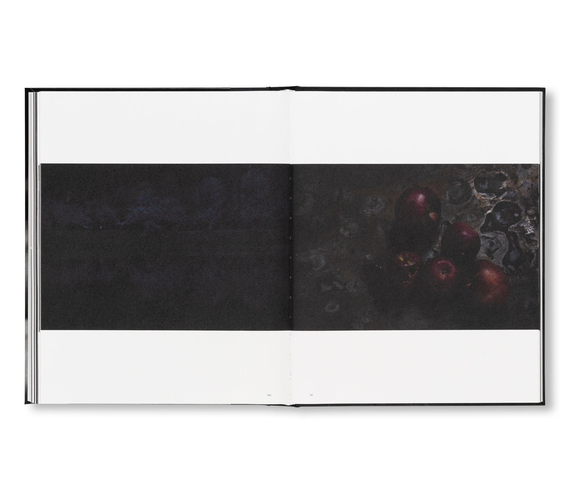 SAKIKO NOMURA: TENDER IS THE NIGHT by Sakiko Nomura