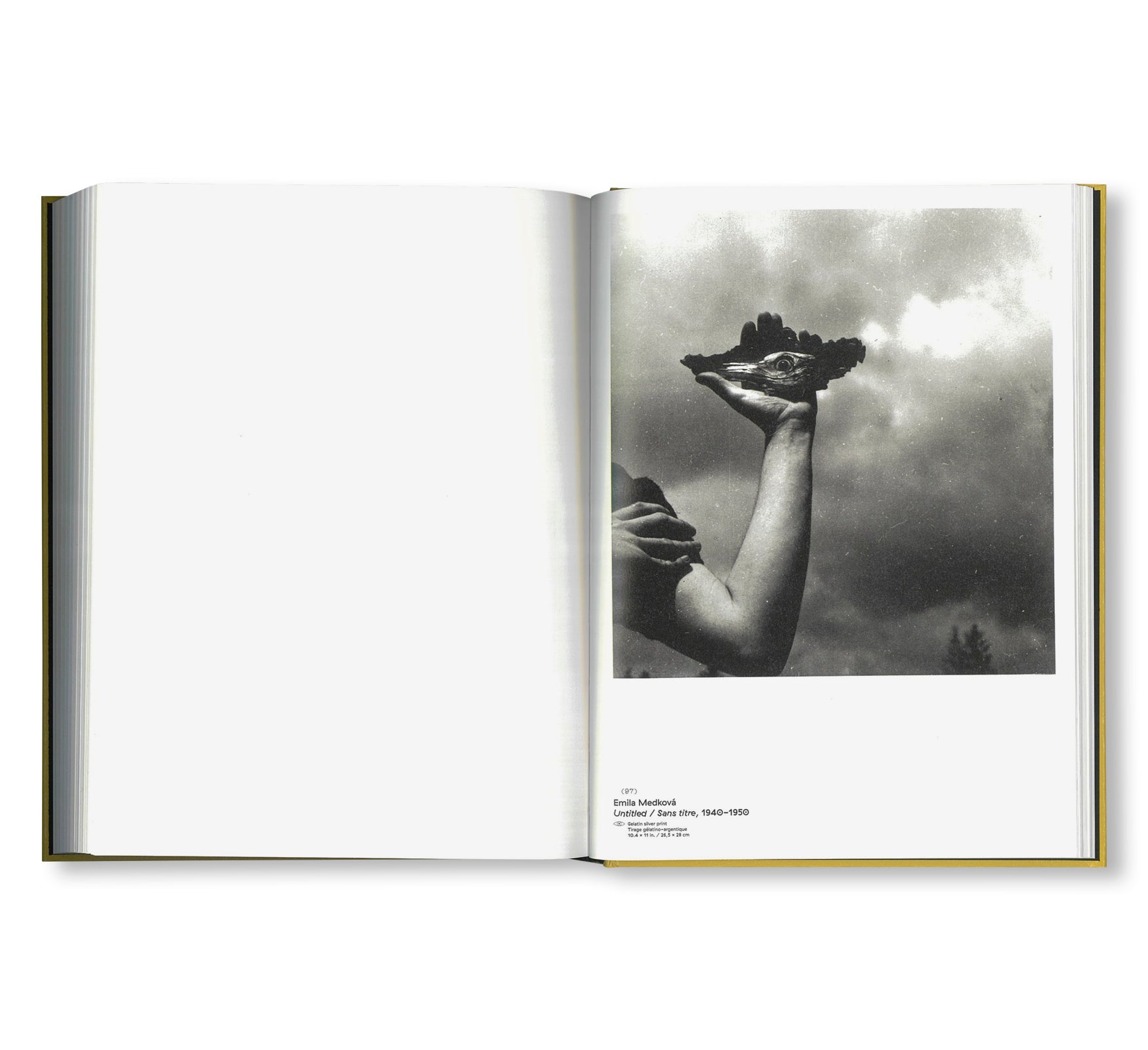 CLIN D'ŒIL by Cécile Poimbœuf-Koizumi & Stephen Ellcock