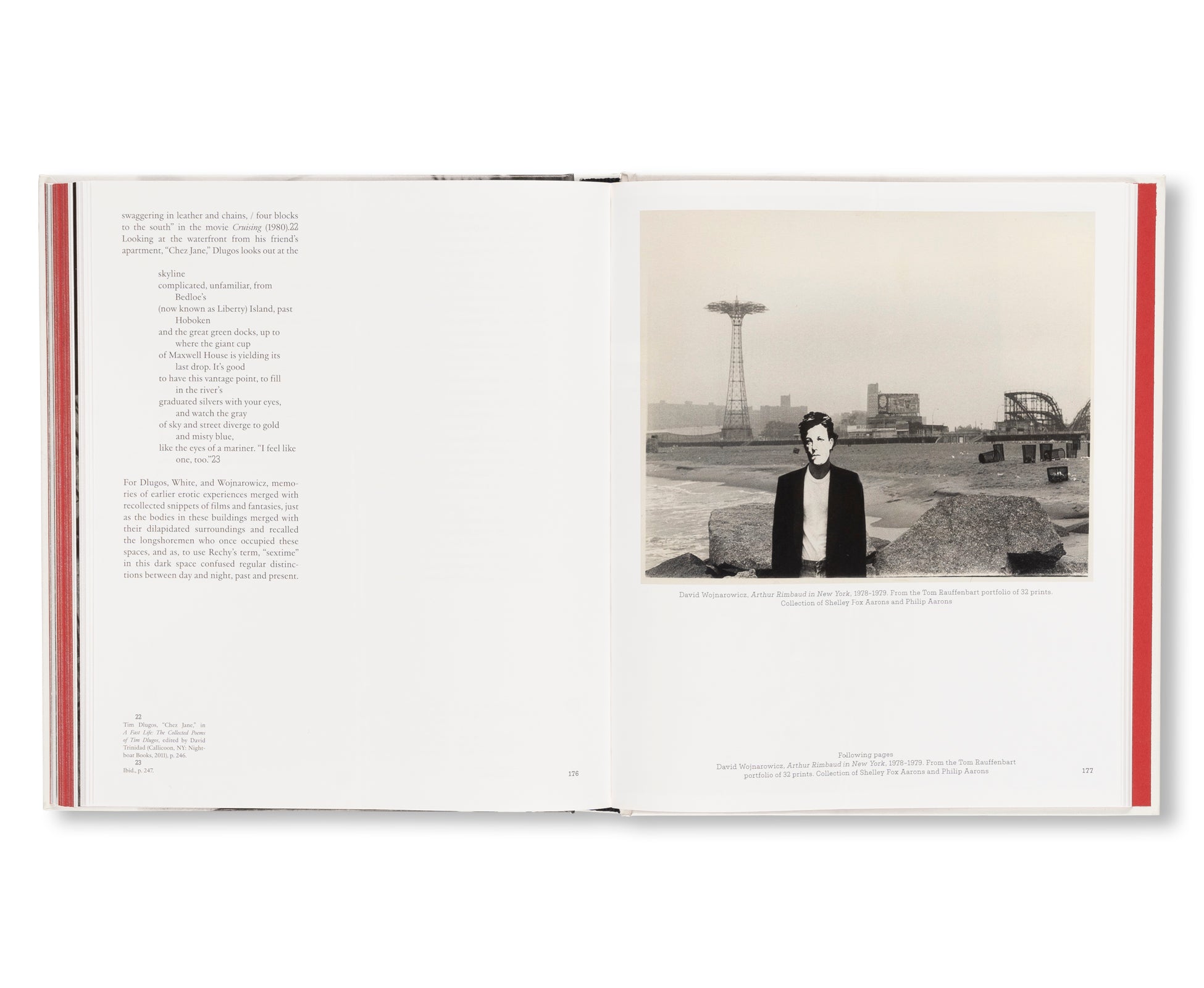 ARTHUR RIMBAUD IN NEW YORK by David Wojnarowicz