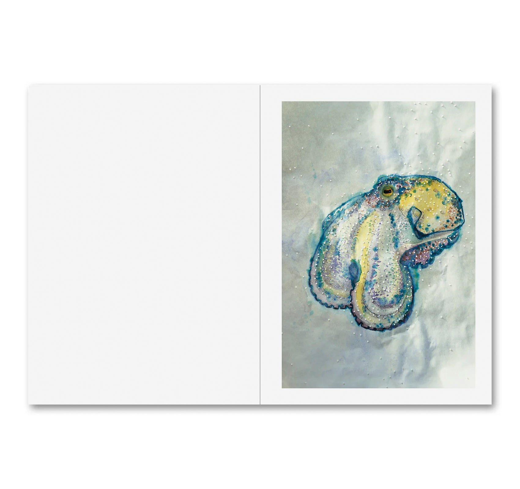 LA CASA ISLA by Anne Golaz