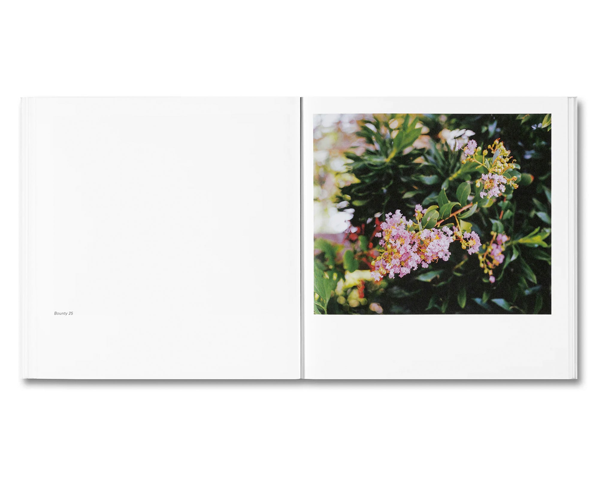 BOUNTY by Steve McQueen