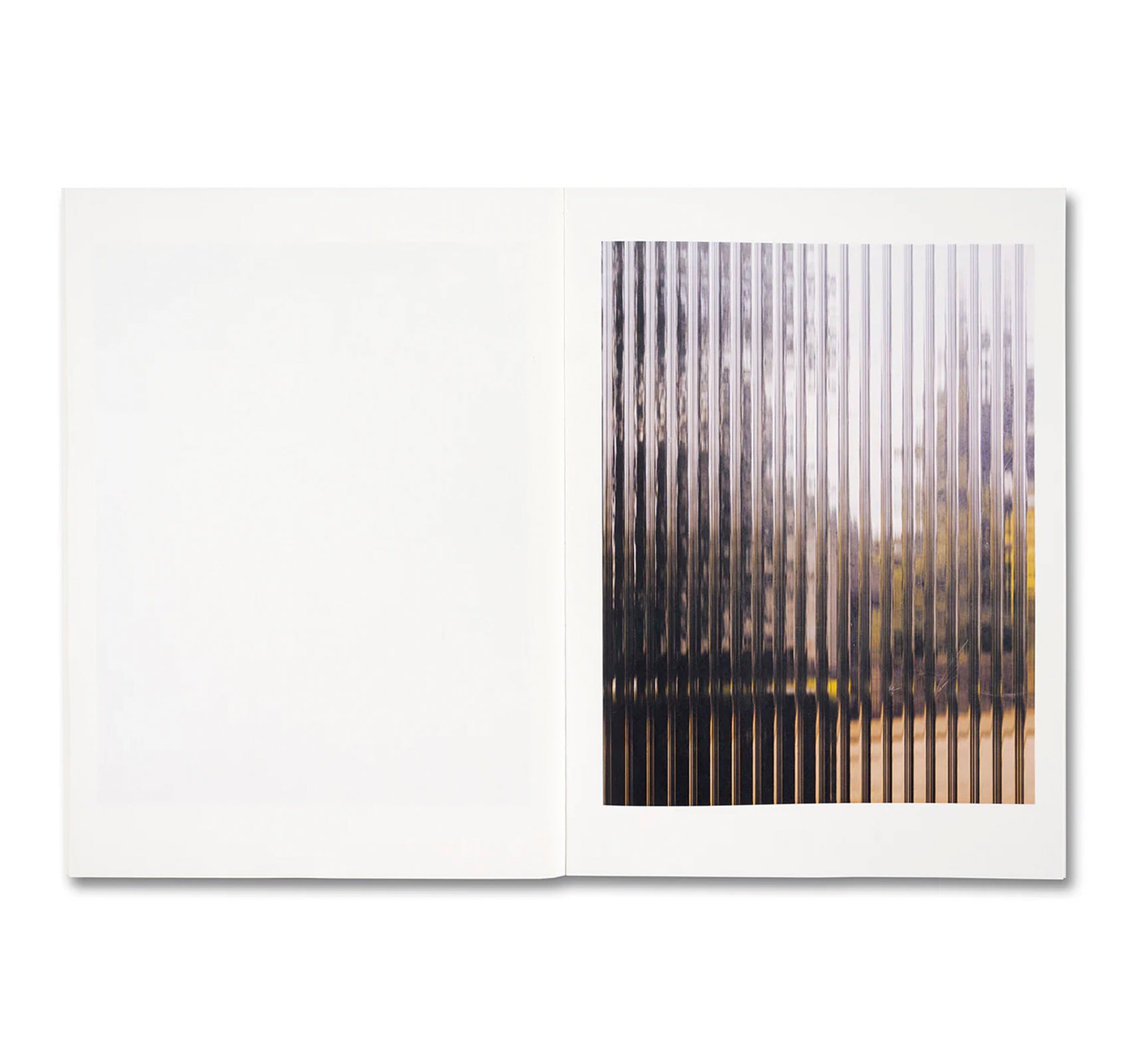 KOECHLIN HOUSE by Daisuke Hirabayashi