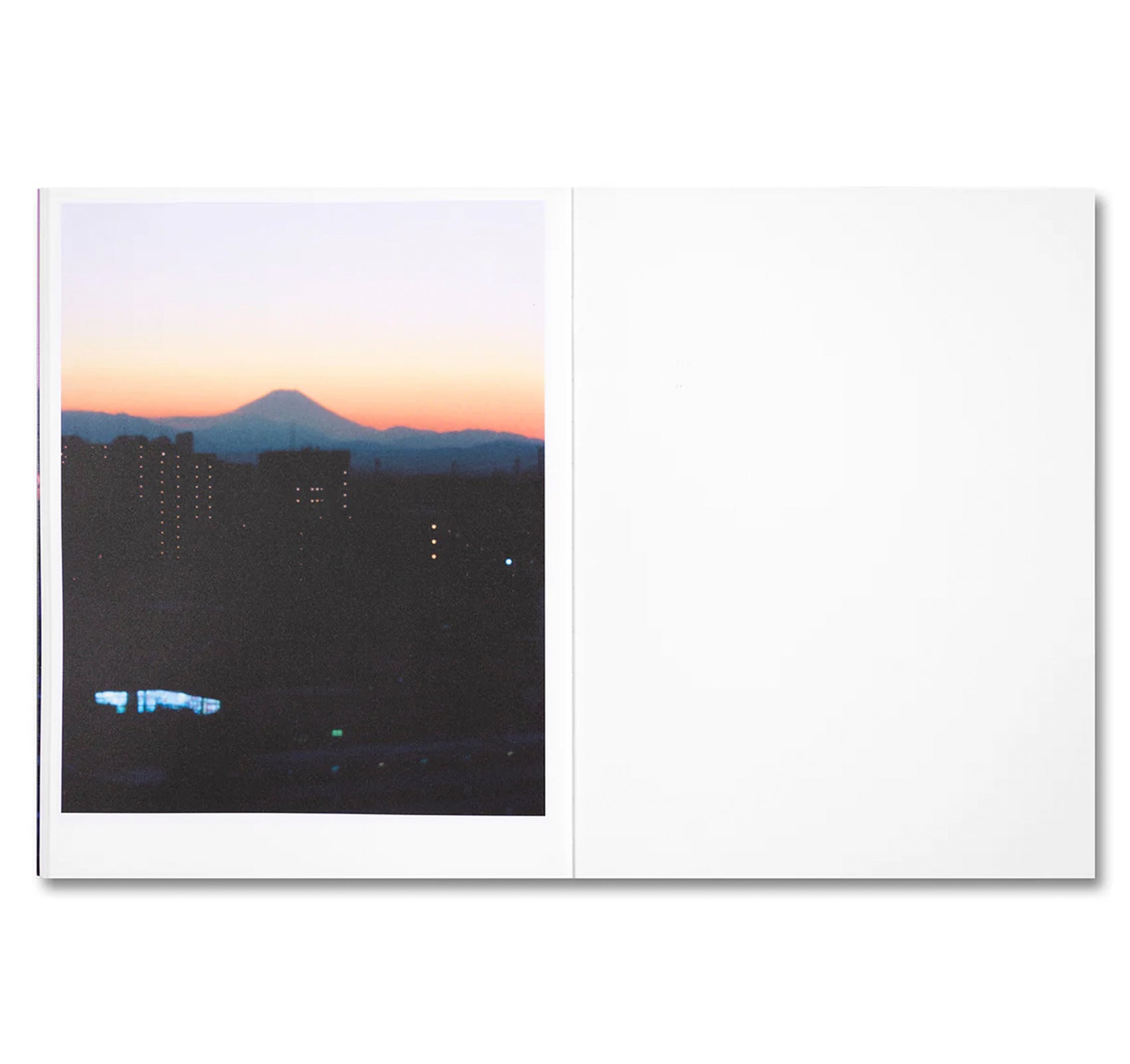 THIRTY-SIX VIEWS OF MOUNT FUJI by Takashi Homma