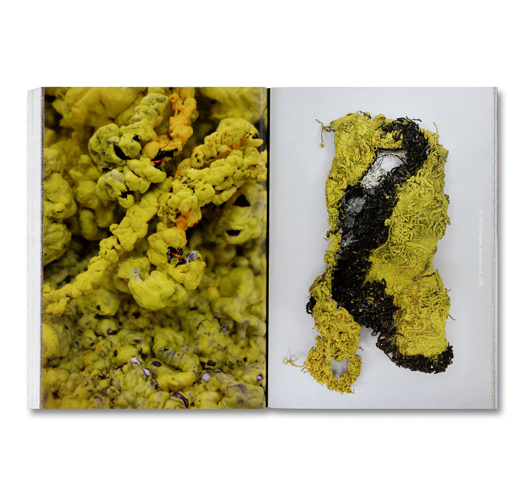 DIRTY LOOKS: DESIRE AND DECAY IN FASHION