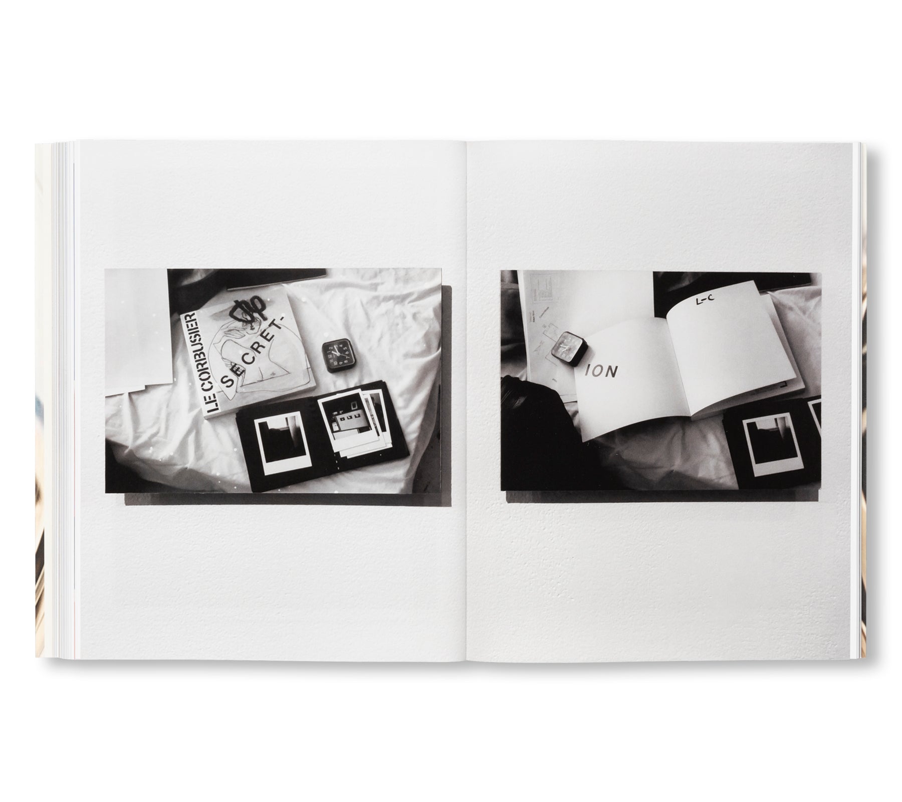 PACING by Renée Green