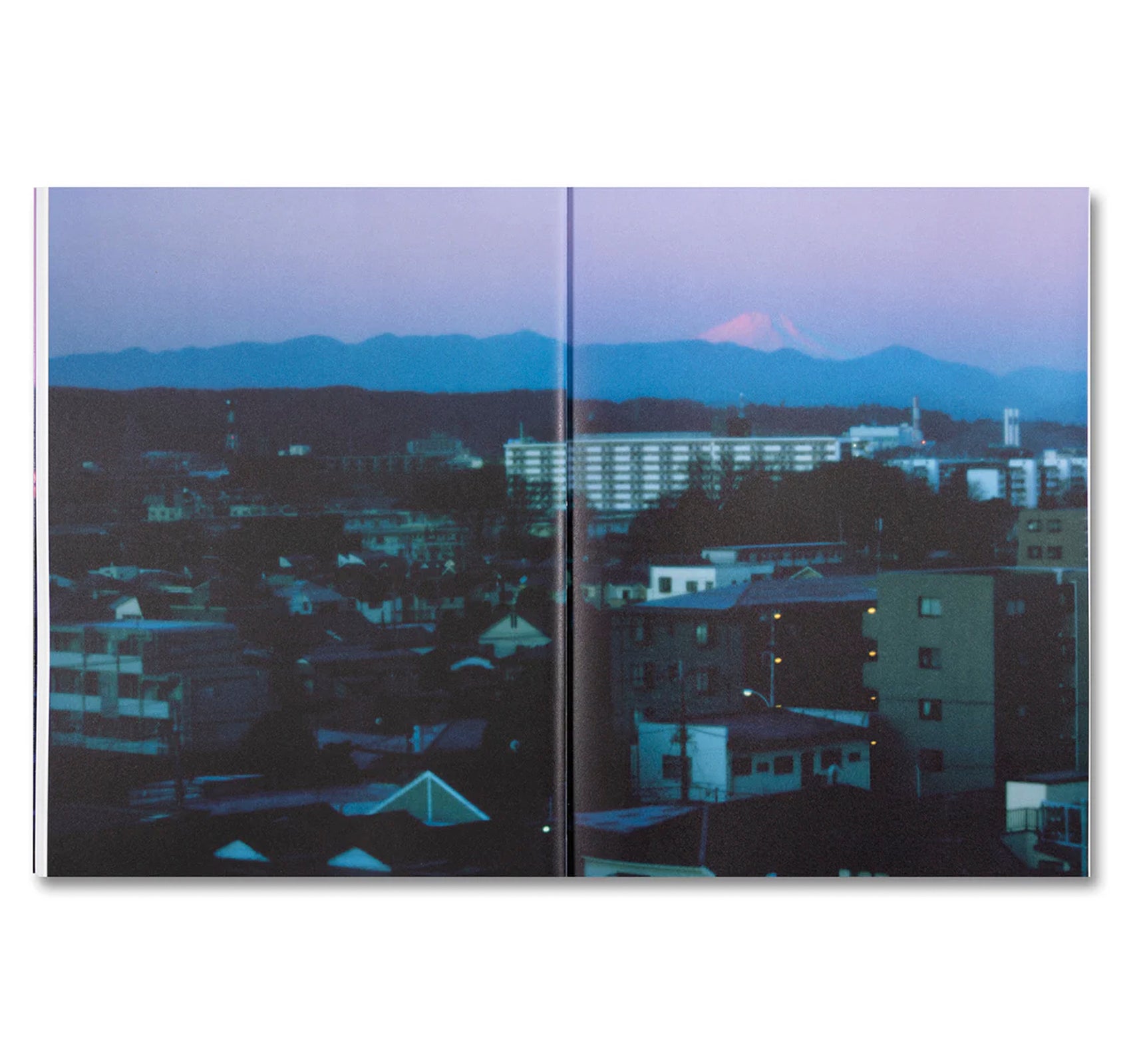 THIRTY-SIX VIEWS OF MOUNT FUJI by Takashi Homma
