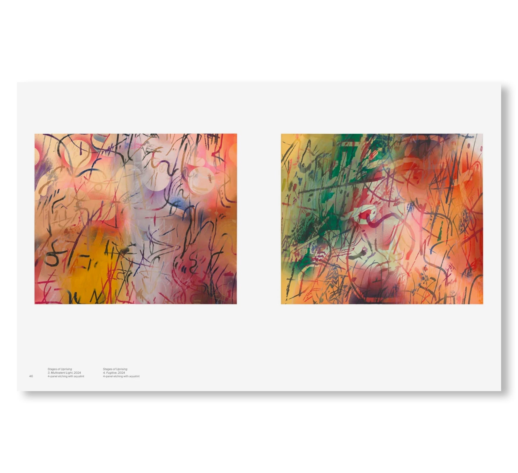 A TRANSCORE OF THE RADICAL IMAGINATORY by Julie Mehretu