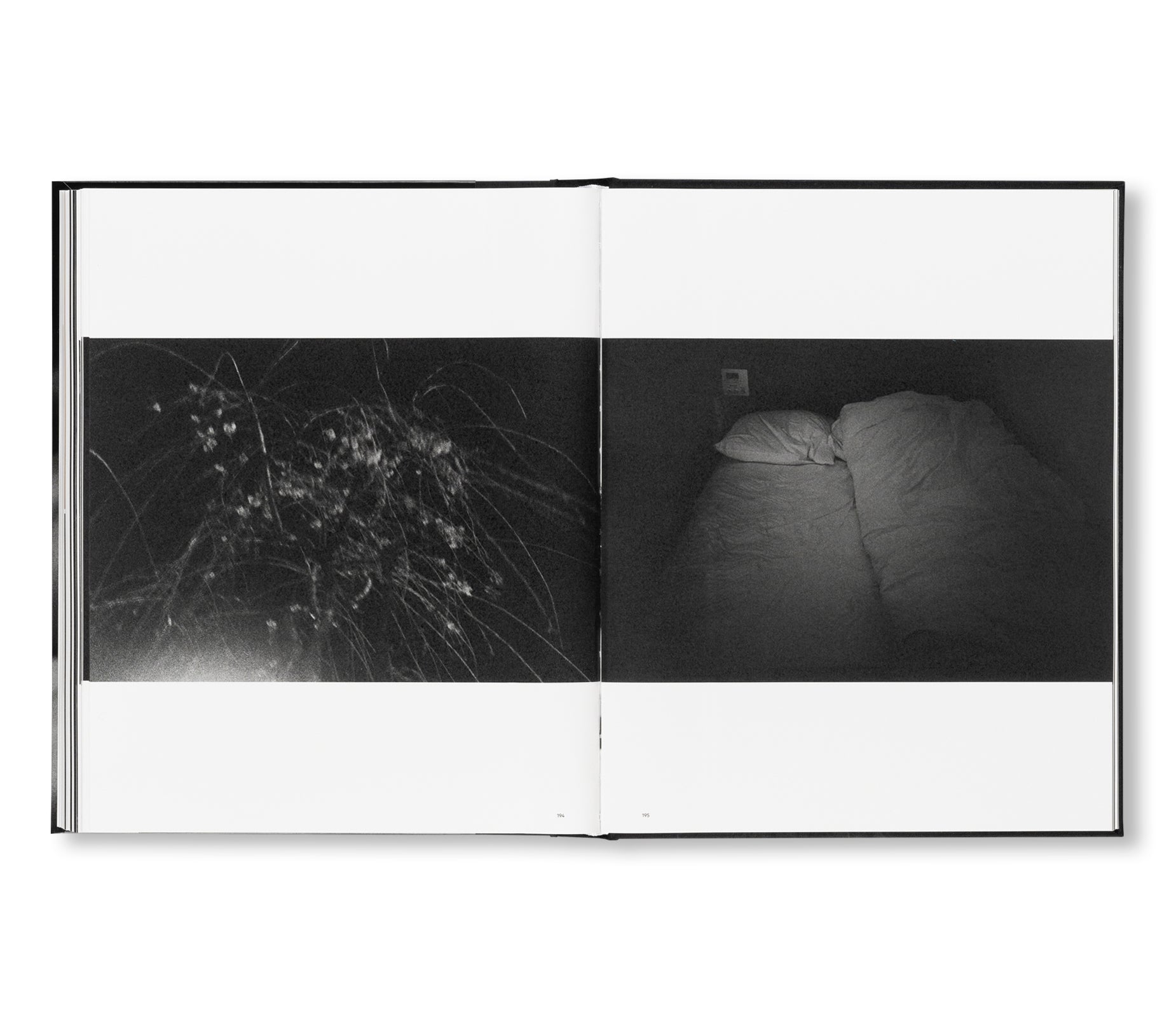 SAKIKO NOMURA: TENDER IS THE NIGHT by Sakiko Nomura