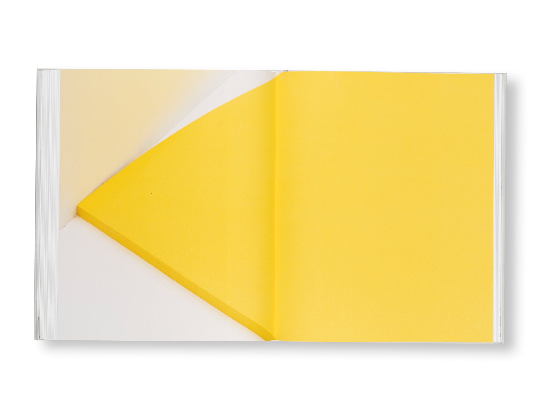 ELLSWORTH KELLY (2023) by Ellsworth Kelly