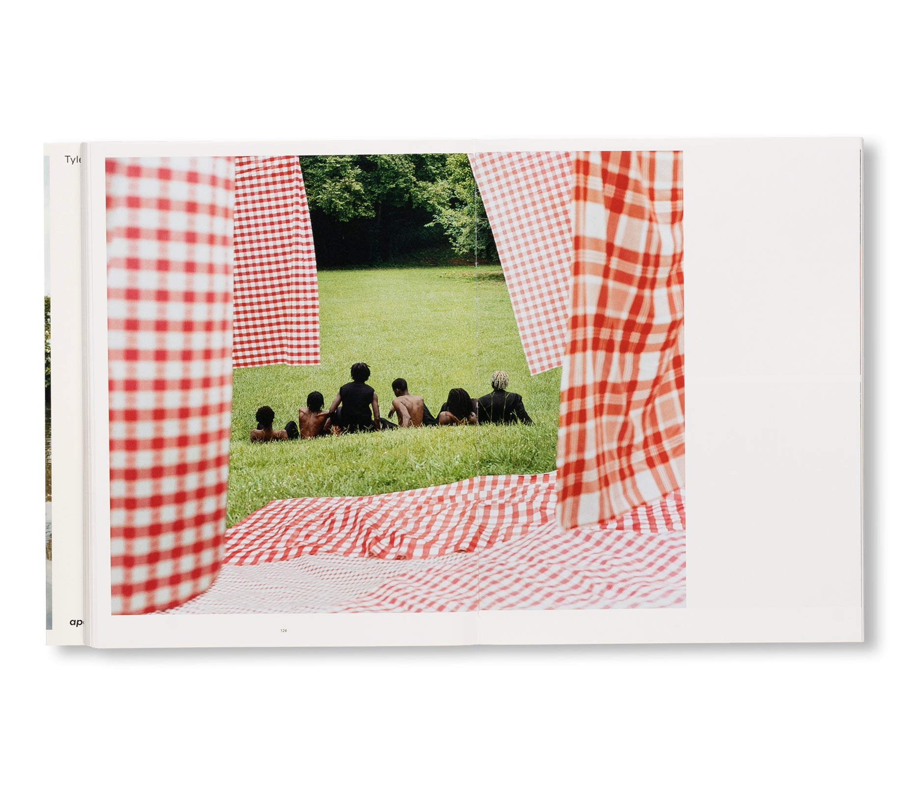 WISH THIS WAS REAL by Tyler Mitchell