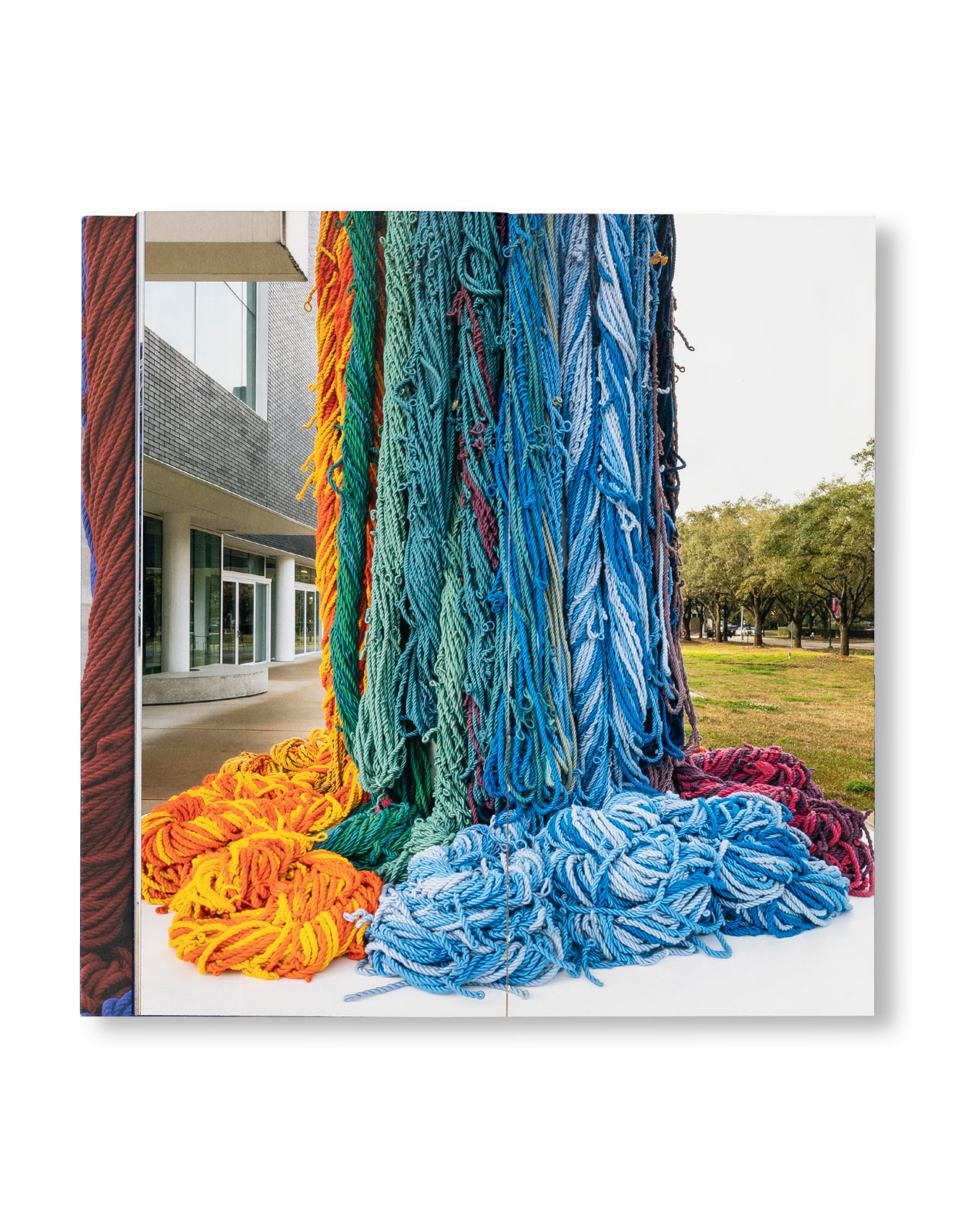 RADICAL VERTICAL INQUIRIES by Sheila Hicks