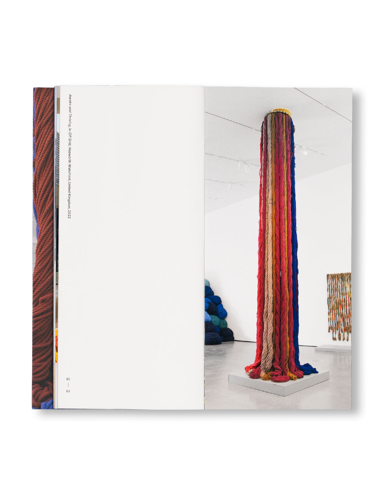 RADICAL VERTICAL INQUIRIES by Sheila Hicks