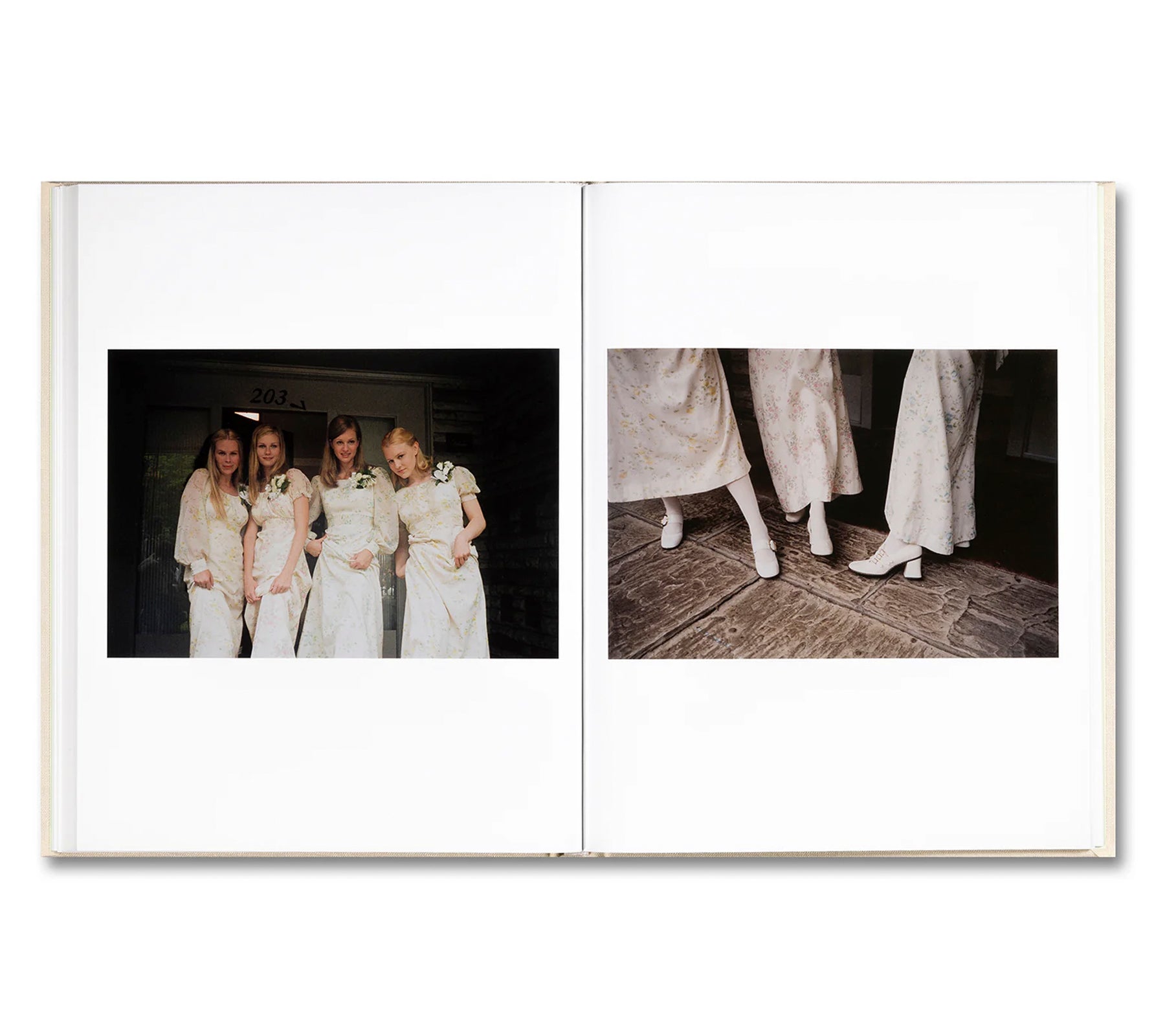 THE VIRGIN SUICIDES by Sofia Coppola