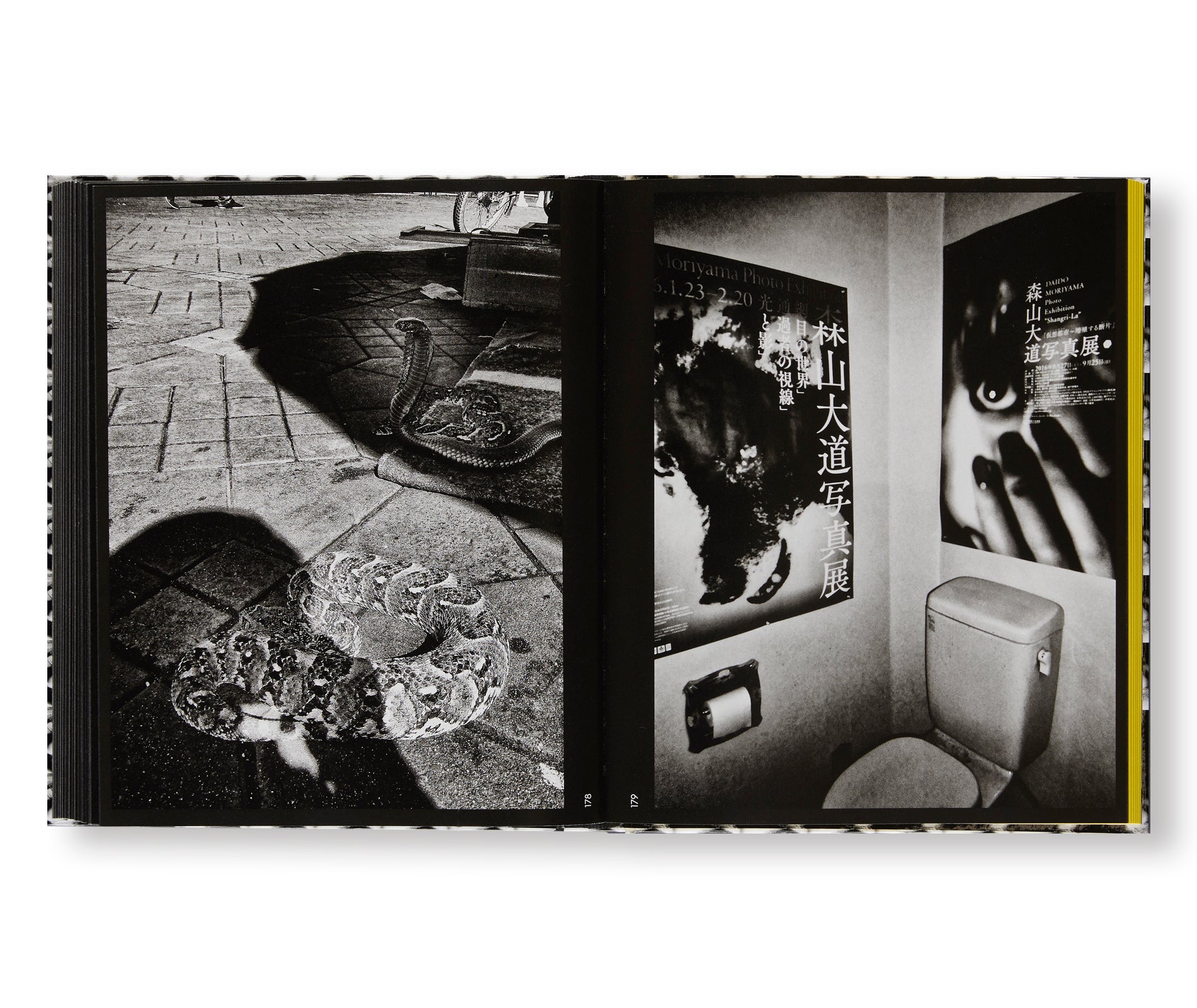 A RETROSPECTIVE by Daido Moriyama