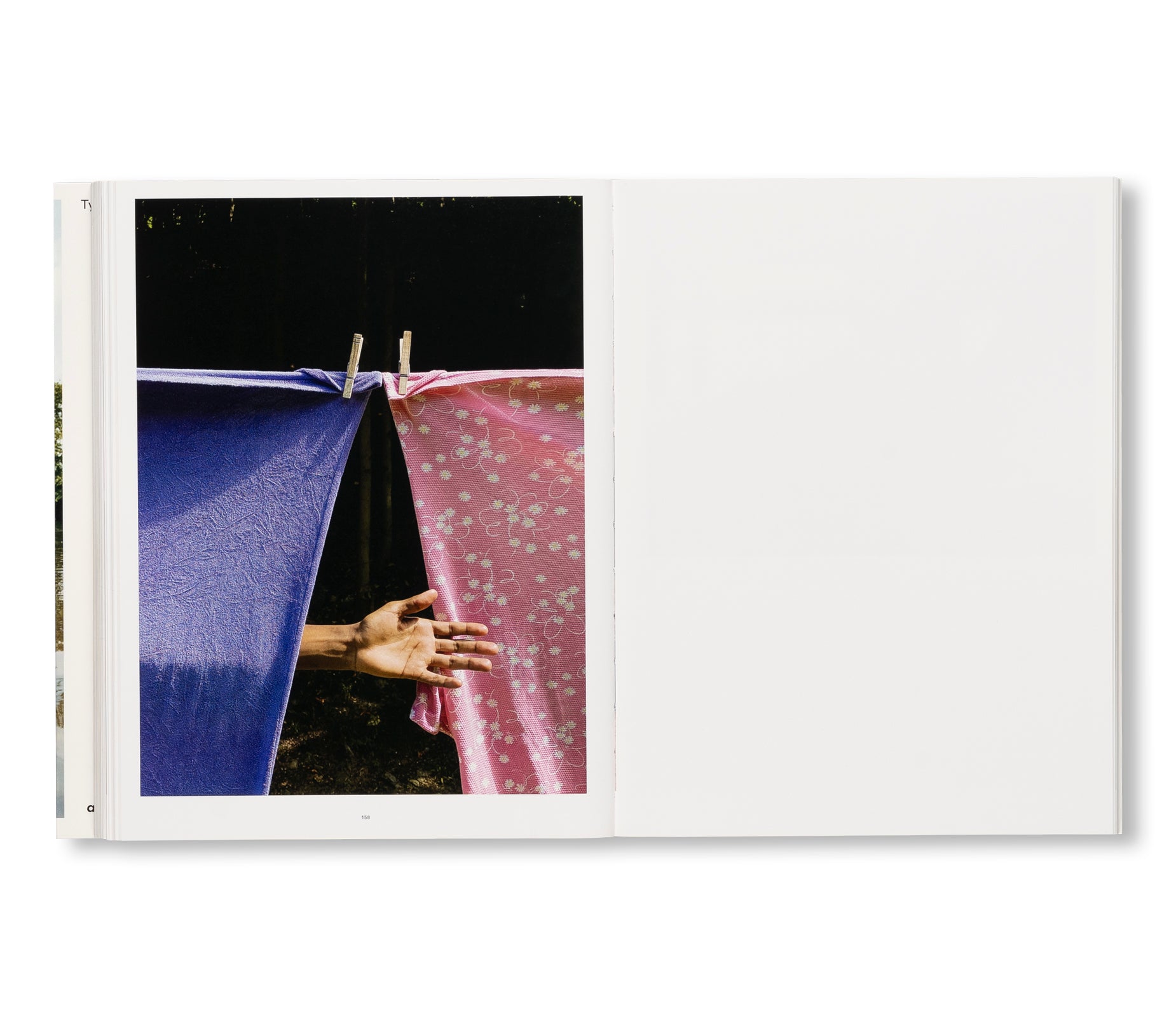 WISH THIS WAS REAL by Tyler Mitchell