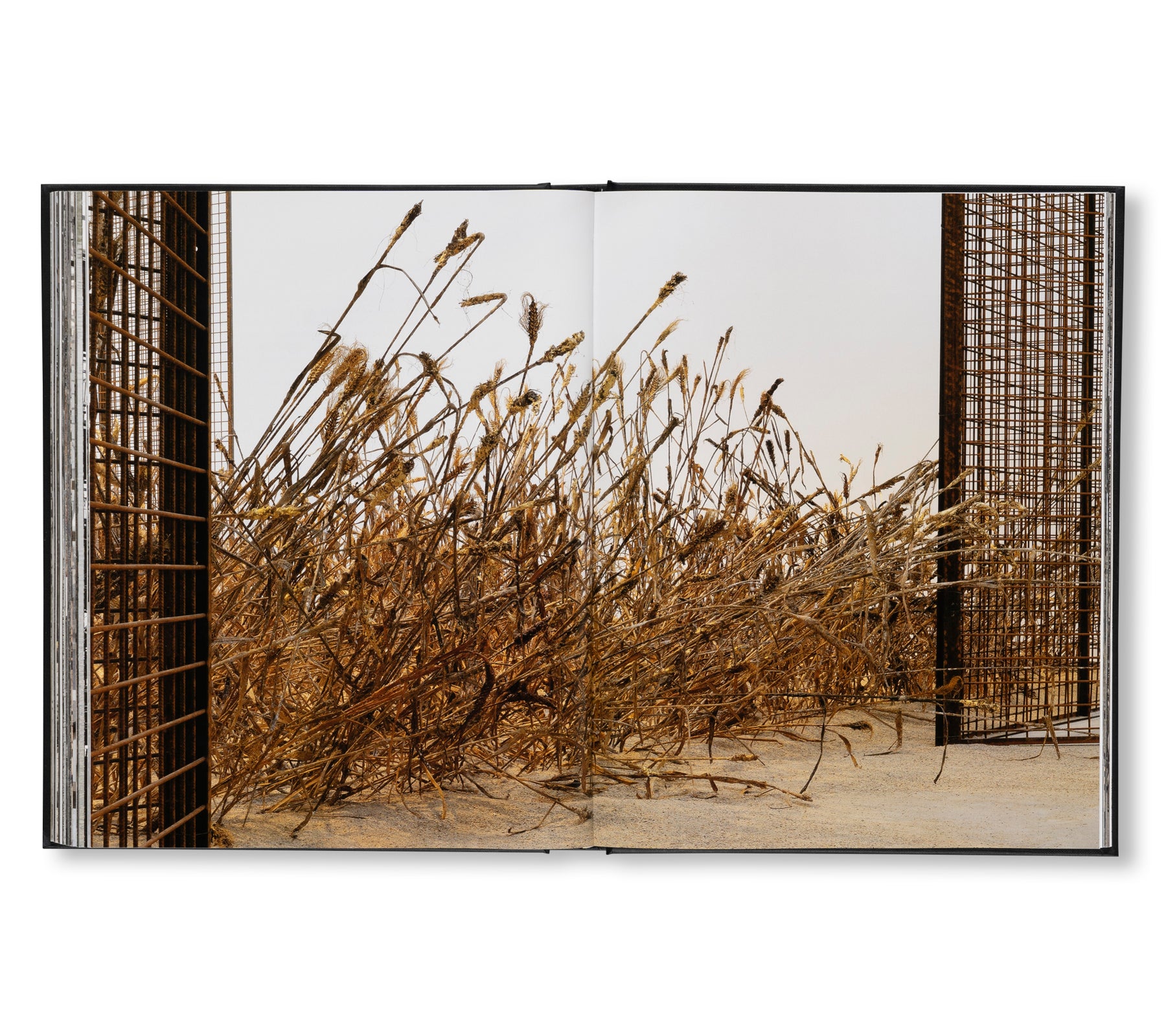 ANSELM KIEFER - STUDIO by Danièle Cohn