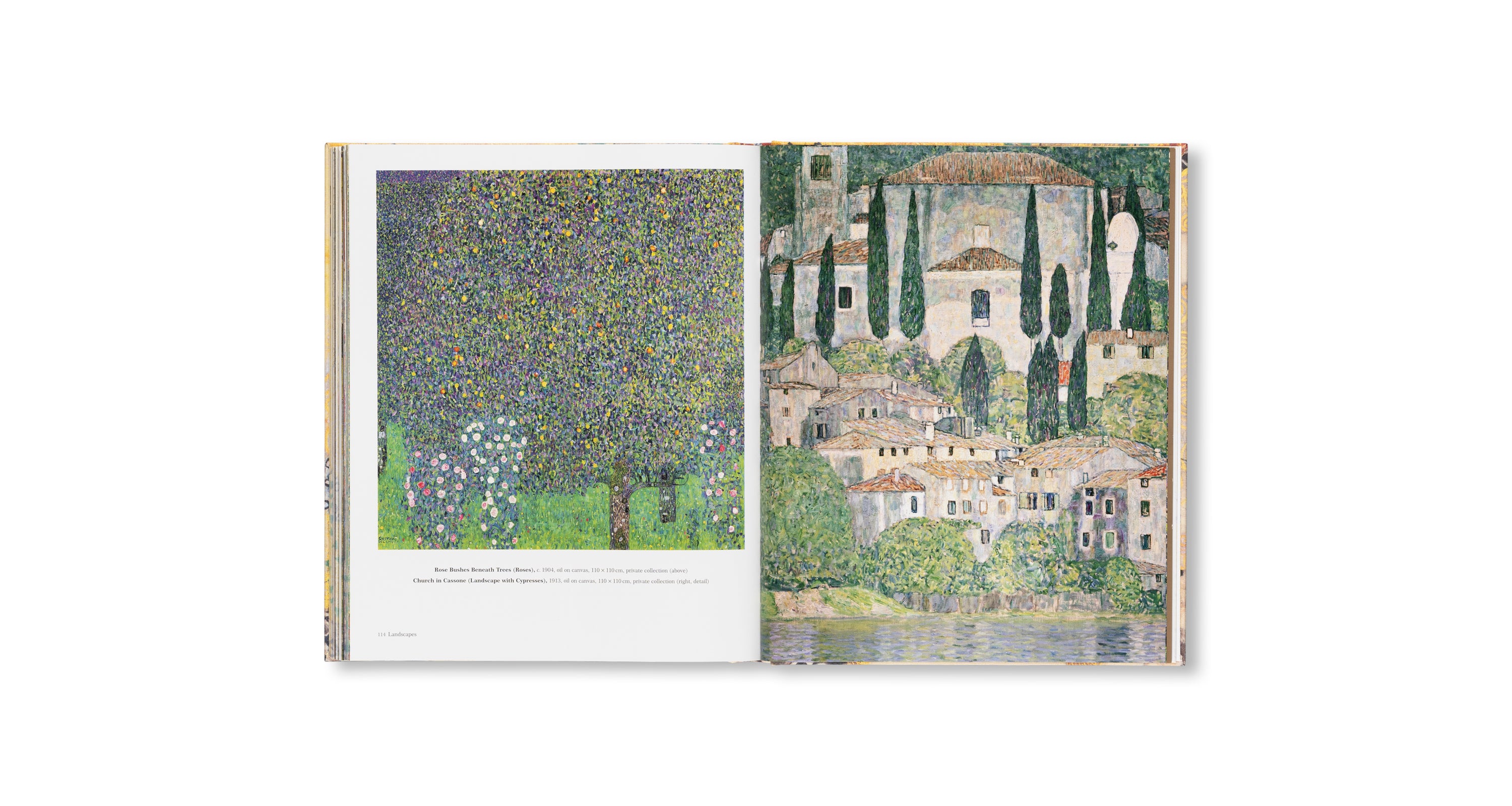 KLIMT - THE BIGGER PICTURE by Philippe Thiébaut