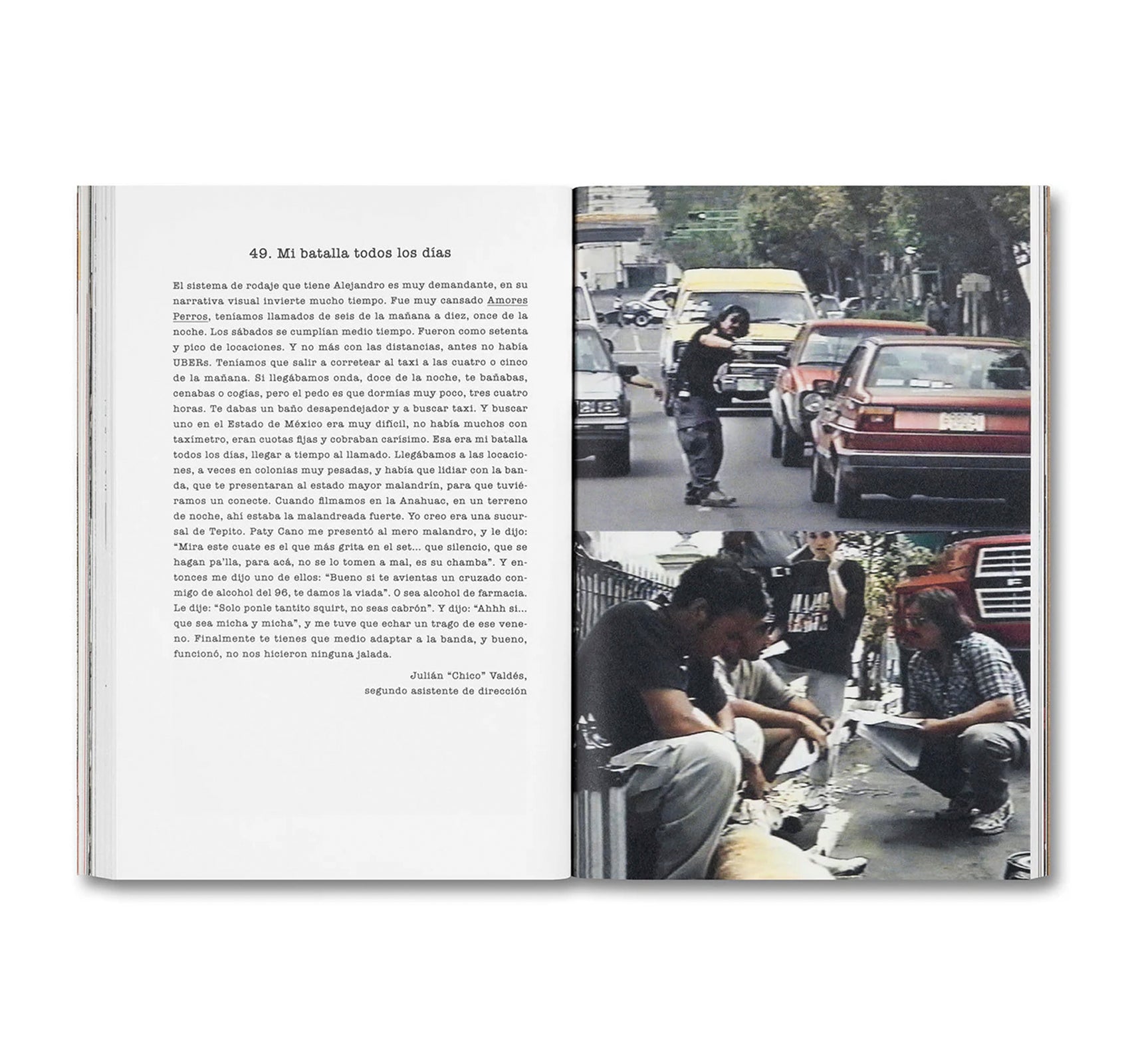 DESATAR AMORES PERROS by Fernando Llanos [SPANISH EDITION]