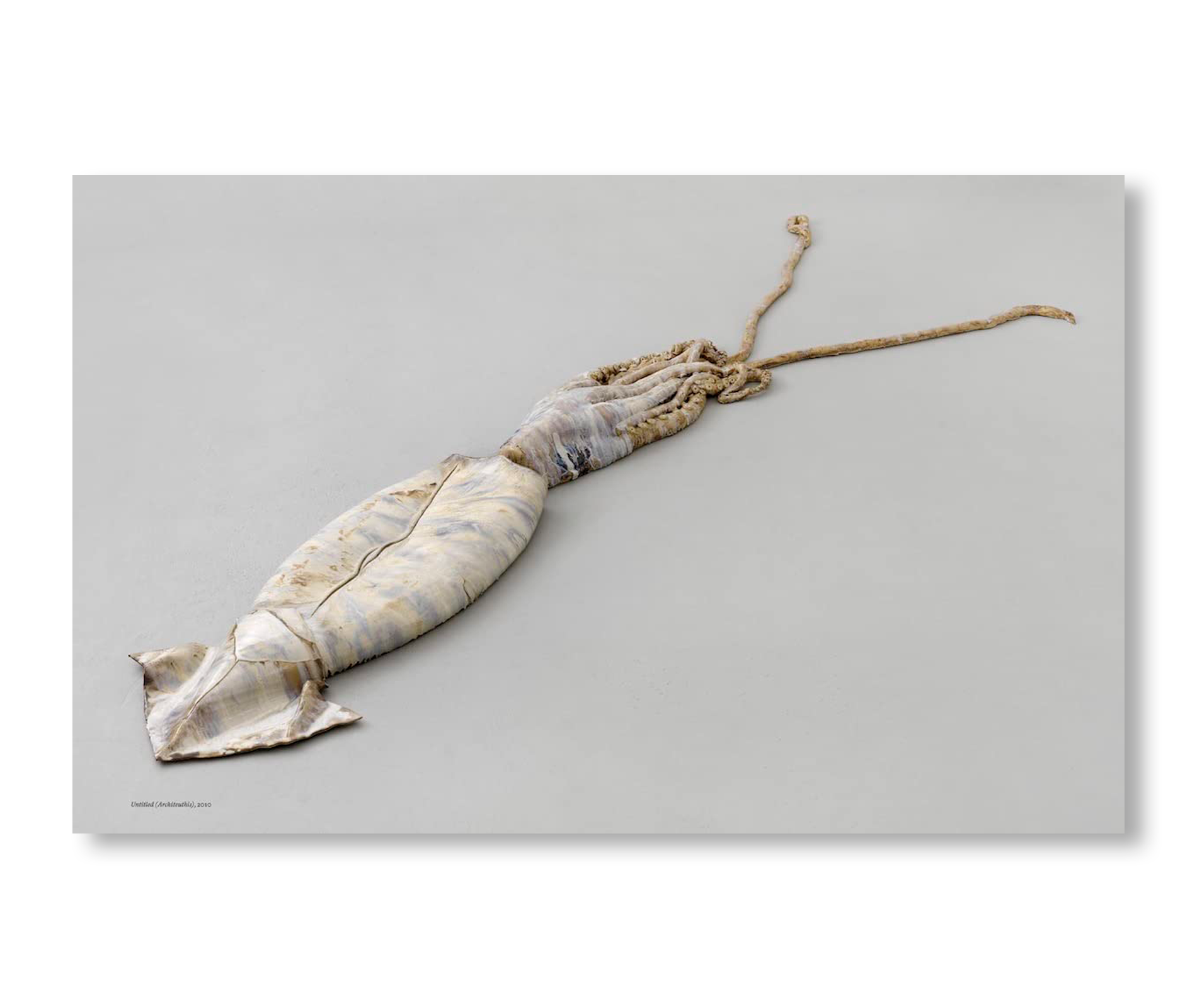 STRANGE CLAY: CERAMICS IN CONTEMPORARY ART