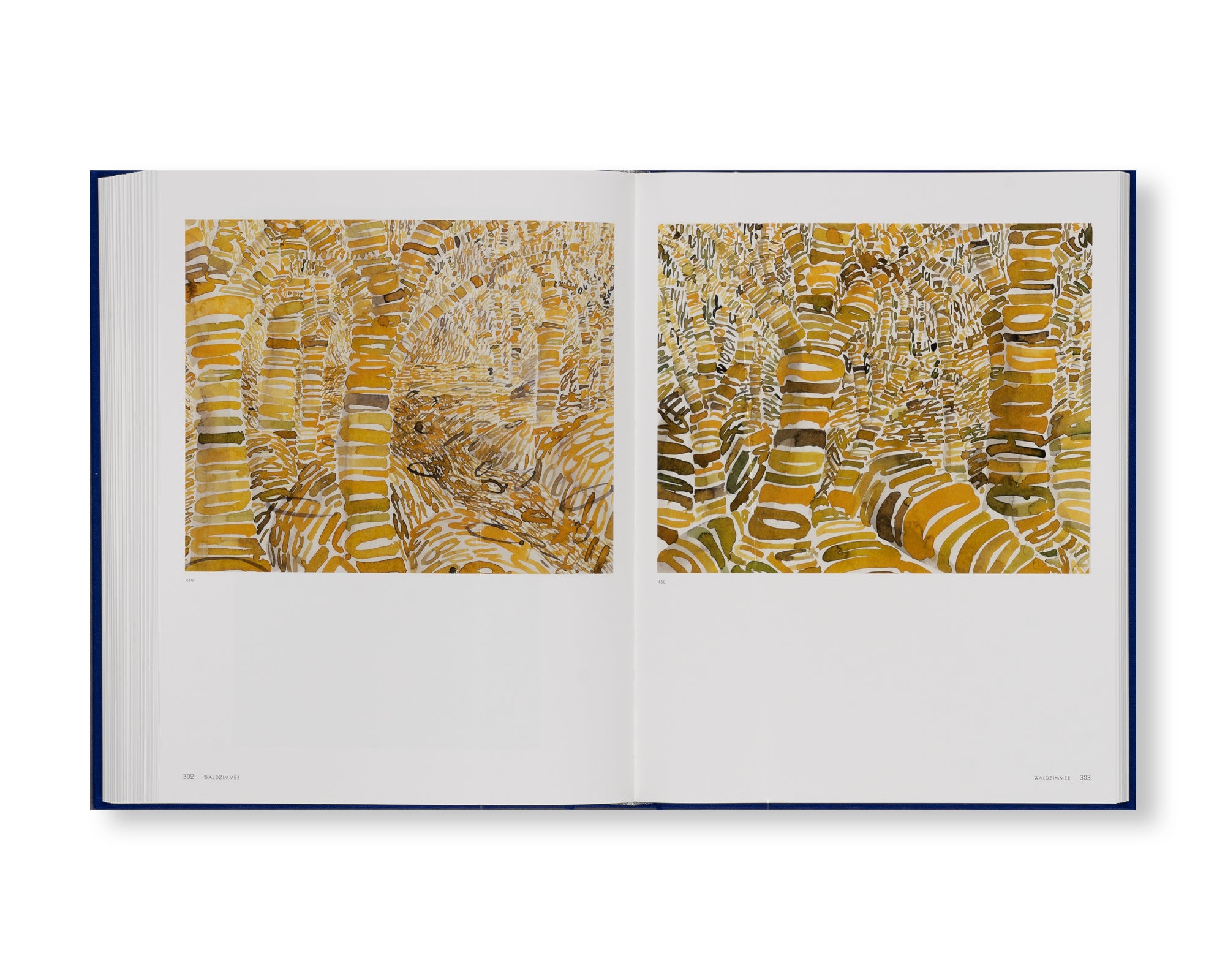 WORKS ON PAPER VOLUME I by Tony Cragg