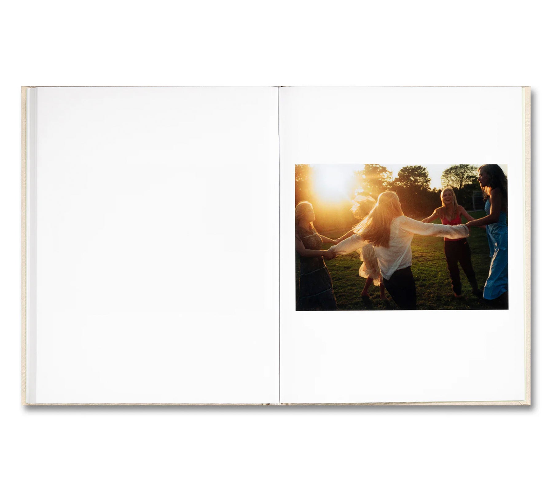 THE VIRGIN SUICIDES by Sofia Coppola