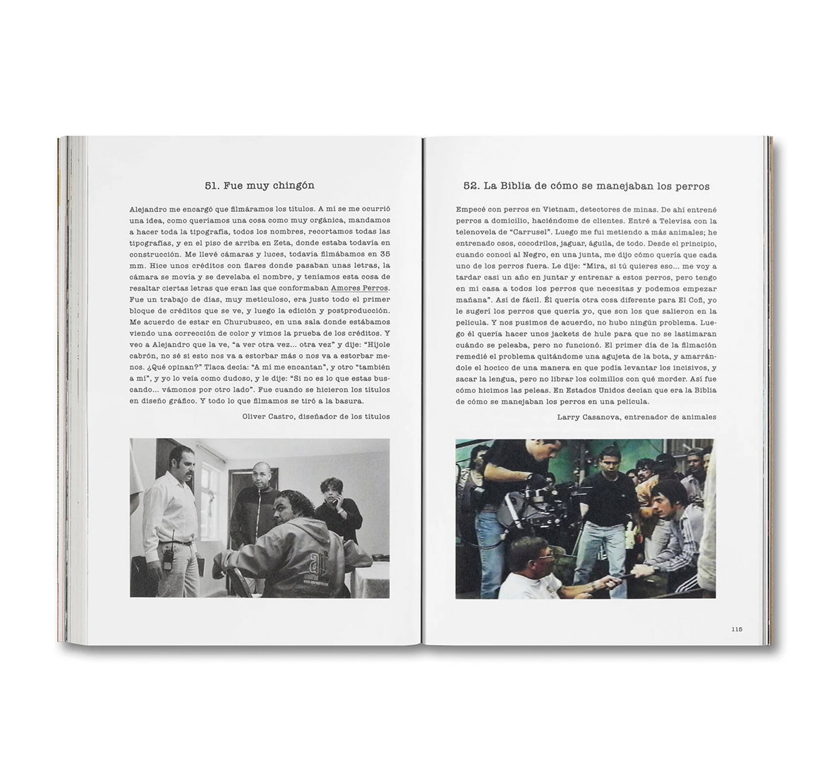 DESATAR AMORES PERROS by Fernando Llanos [SPANISH EDITION]
