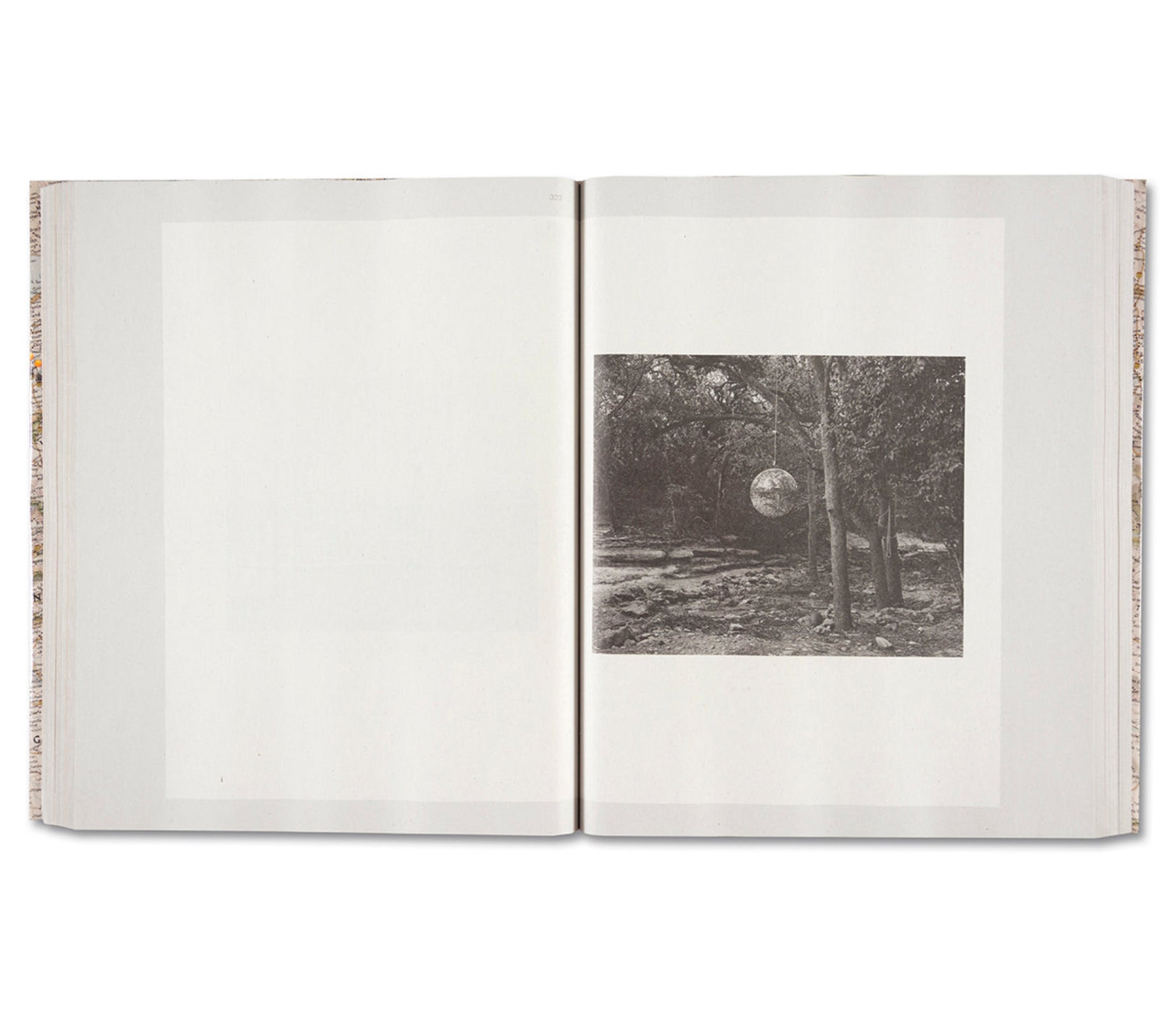 GATHERED LEAVES ANNOTATED by Alec Soth