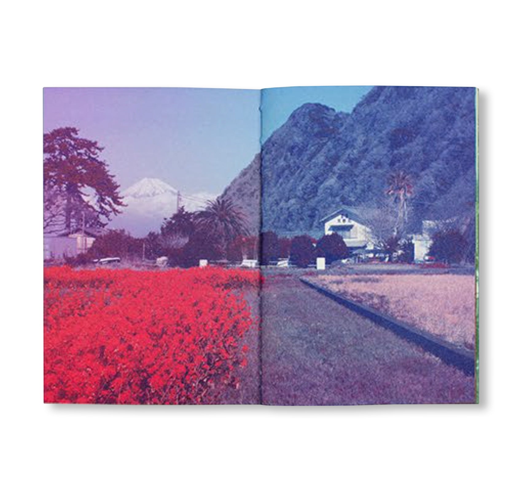 FUJI by Fanette Mellier, Clément Vauchez