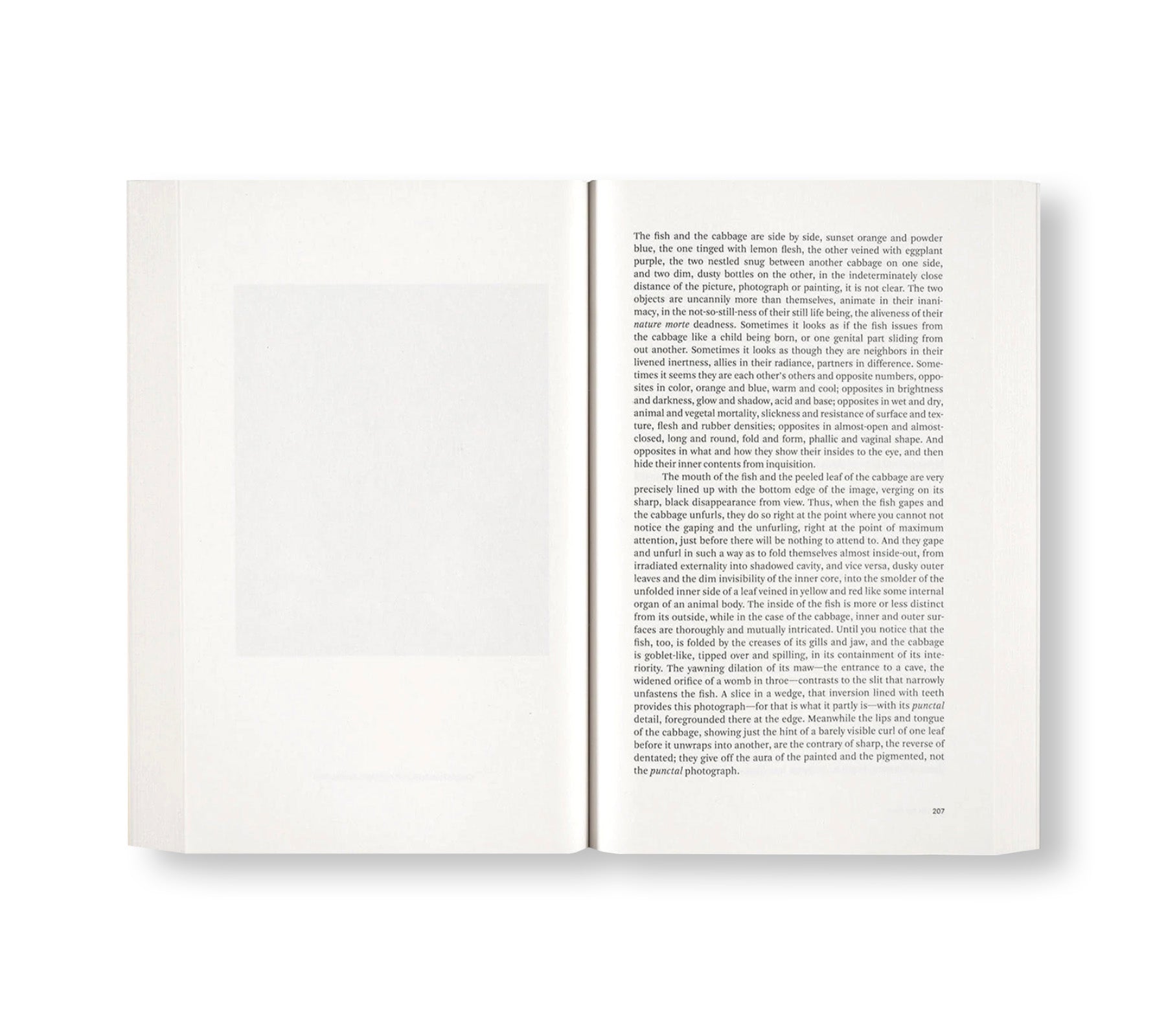 PAINTING PHOTOGRAPHY PAINTING: SELECTED ESSAYS by Carol Armstrong