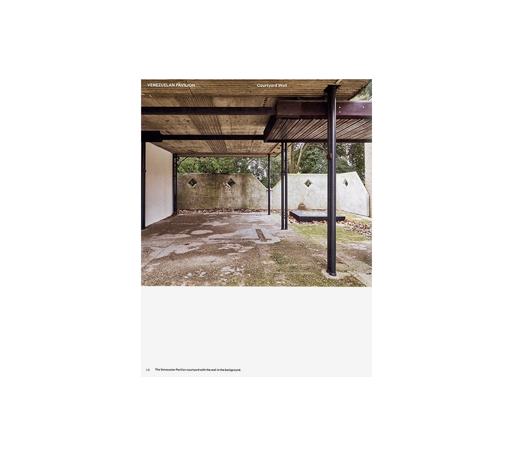 CARLO SCARPA AND CARLO MASCHIETTO: EXPRESSIVE FORMS AND STRUCTURAL FORCES by Carlo Scarpa, Carlo Maschietto