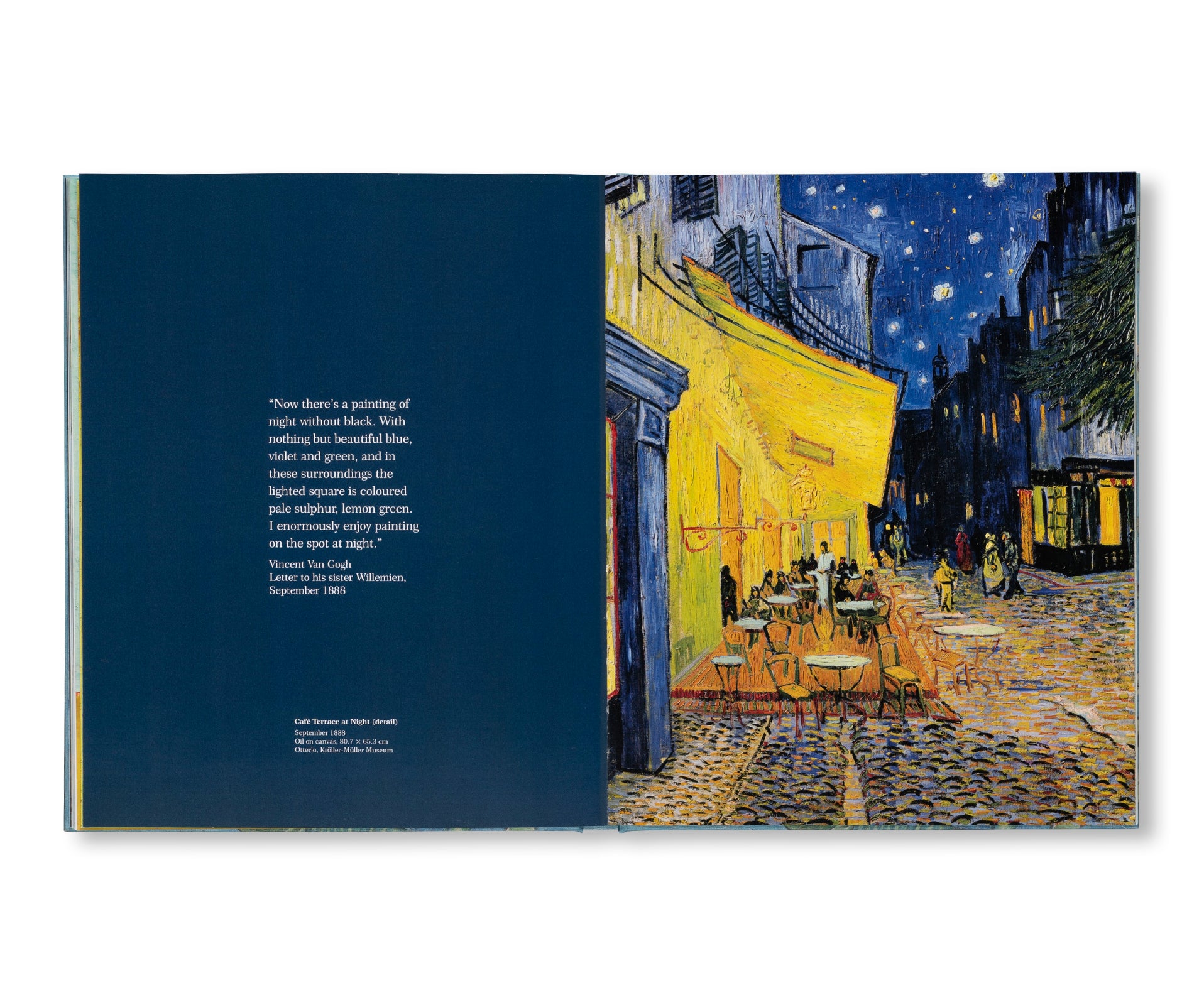 VAN GOGH - THE BIGGER PICTURE by Anne Sefrioui