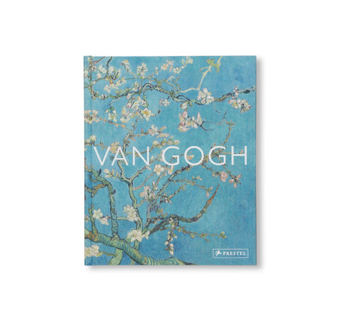 VAN GOGH - THE BIGGER PICTURE by Anne Sefrioui