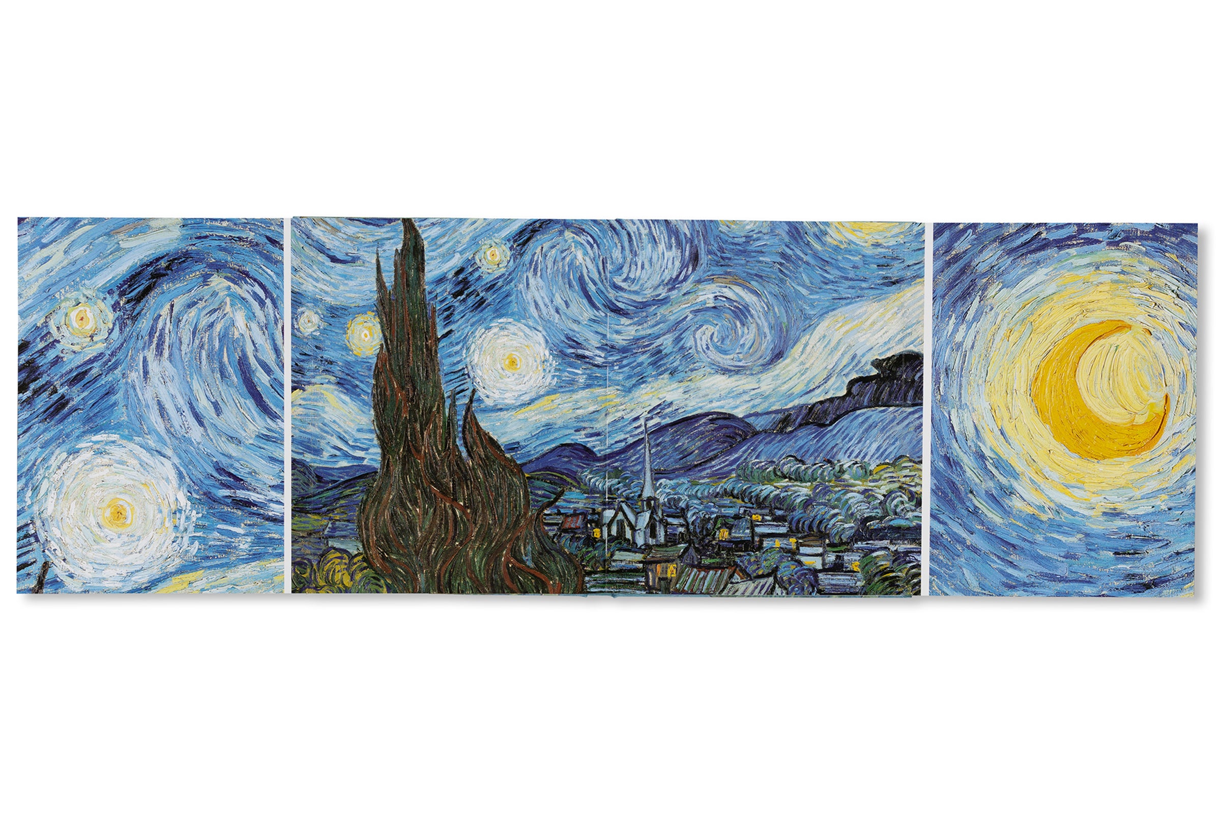 VAN GOGH - THE BIGGER PICTURE by Anne Sefrioui