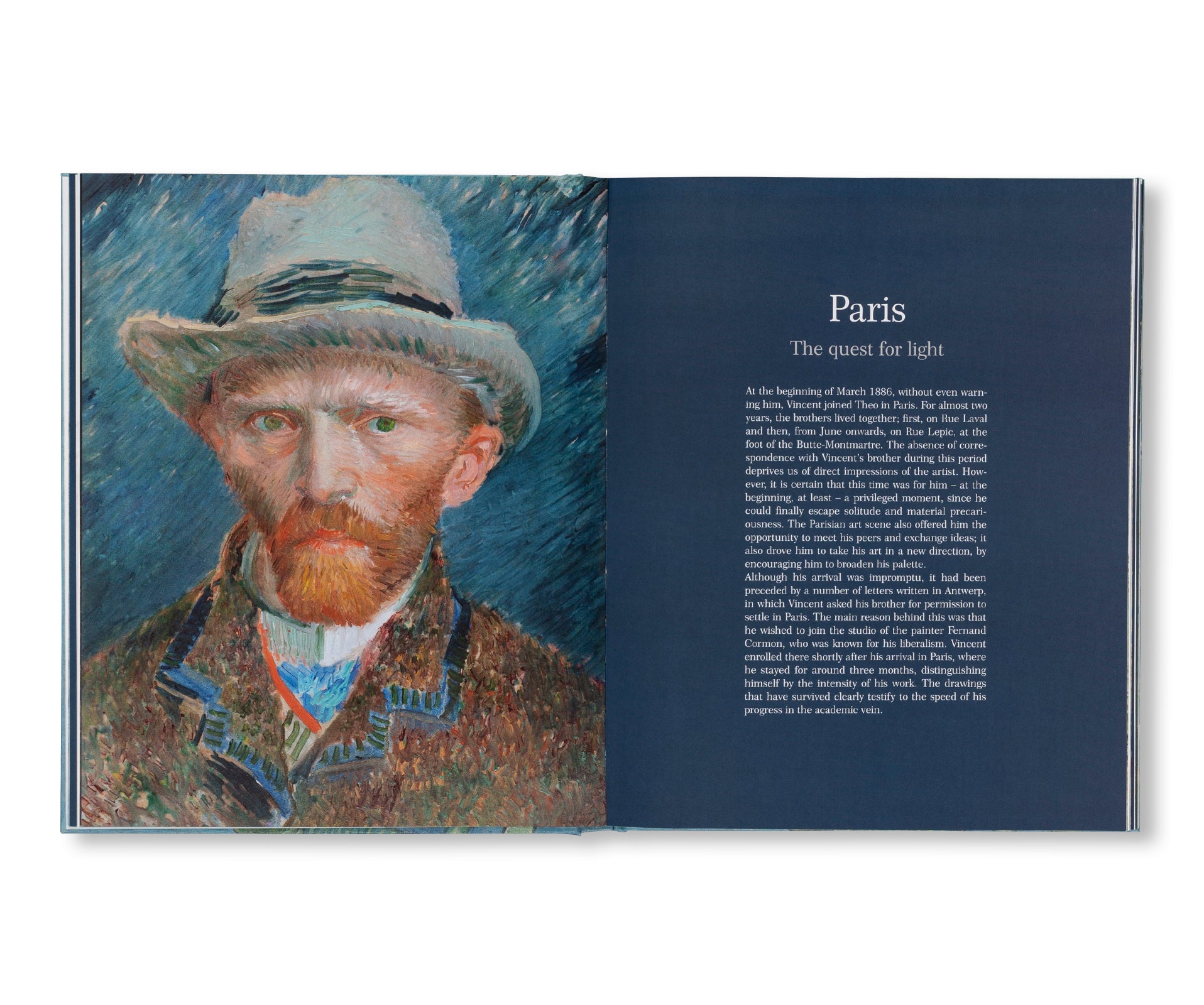 VAN GOGH - THE BIGGER PICTURE by Anne Sefrioui