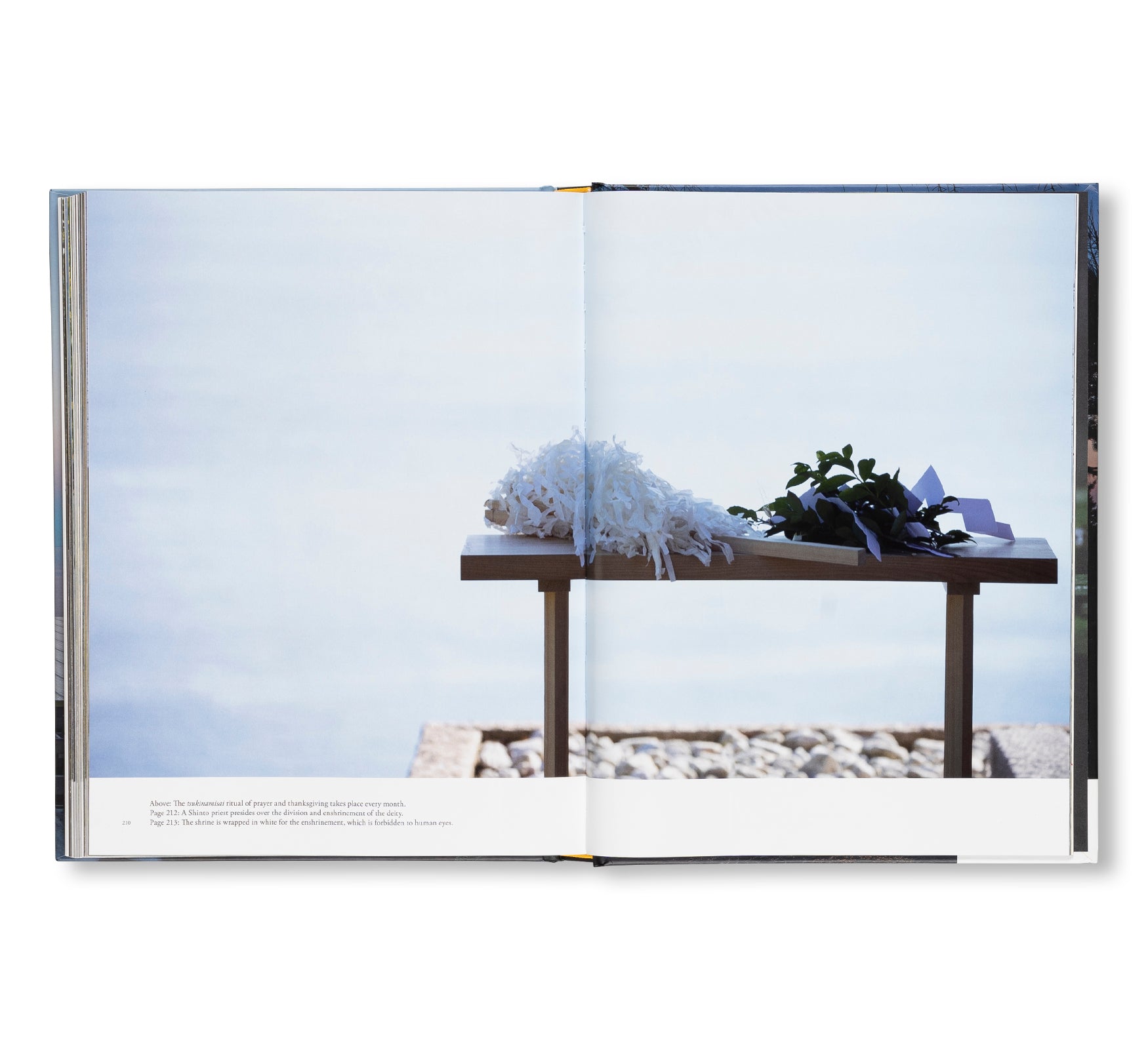 ENOURA OBSERVATORY: LAND OF DISTANT MEMORIES by Hiroshi Sugimoto