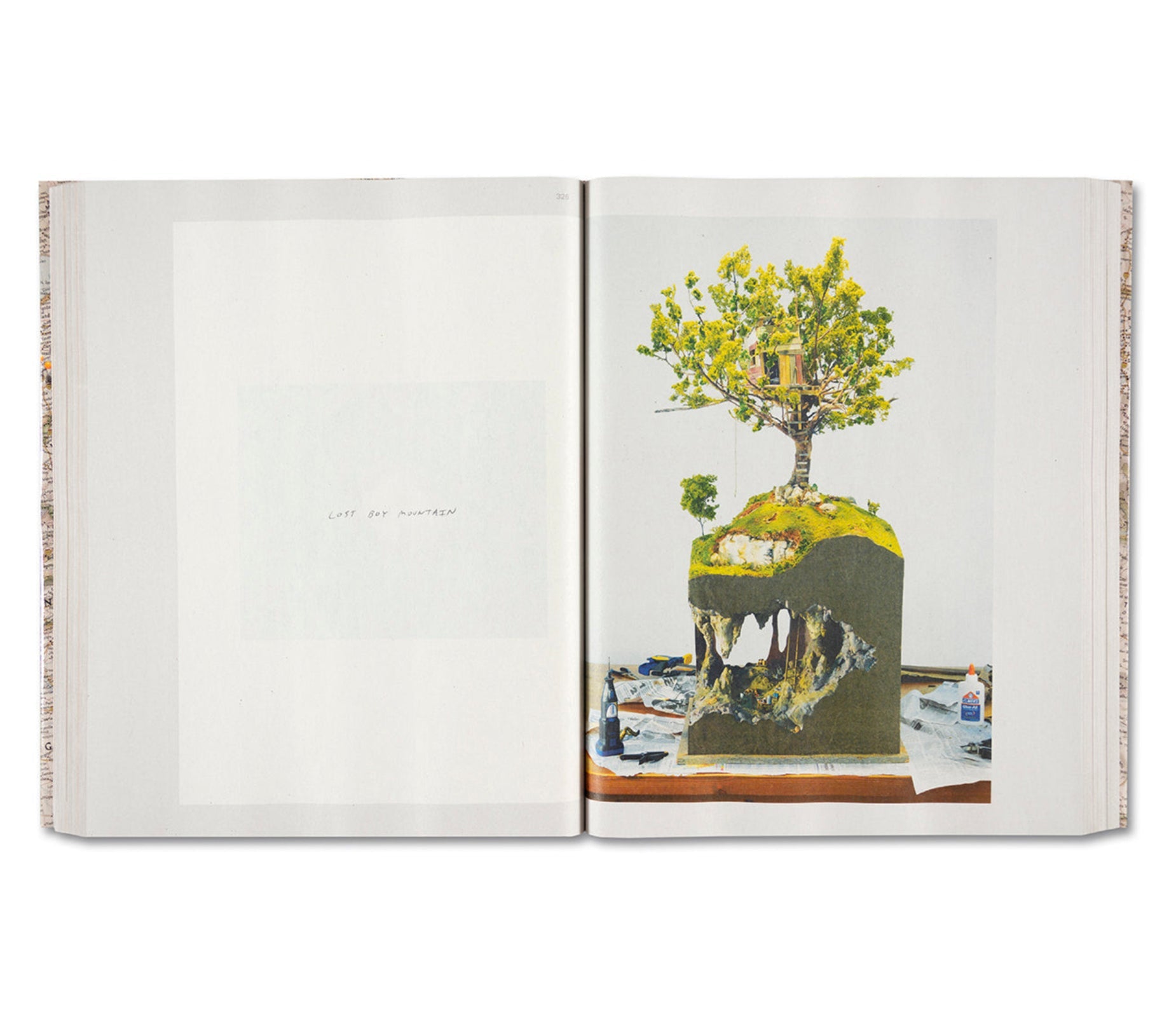 GATHERED LEAVES ANNOTATED by Alec Soth