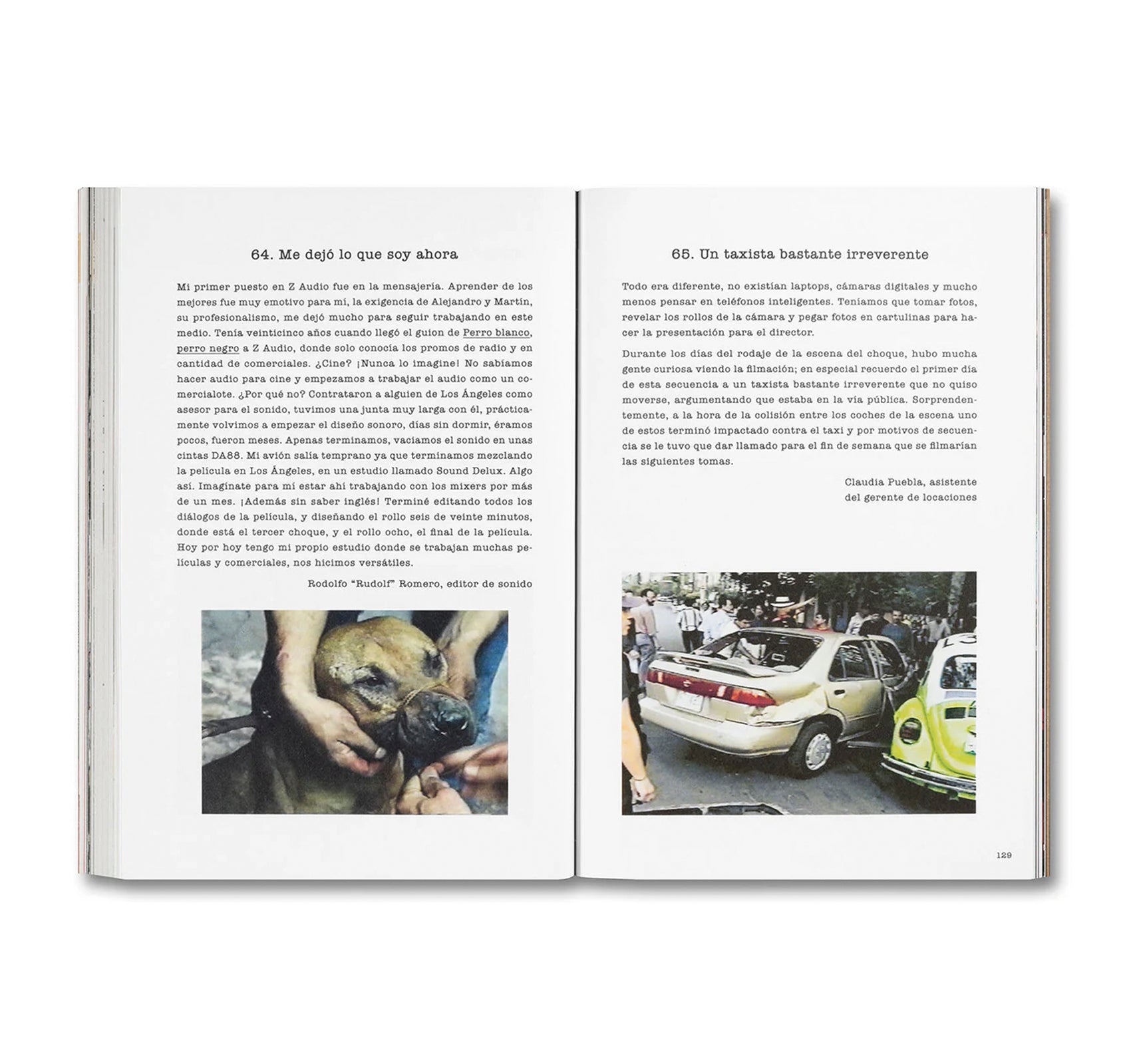 DESATAR AMORES PERROS by Fernando Llanos [SPANISH EDITION]