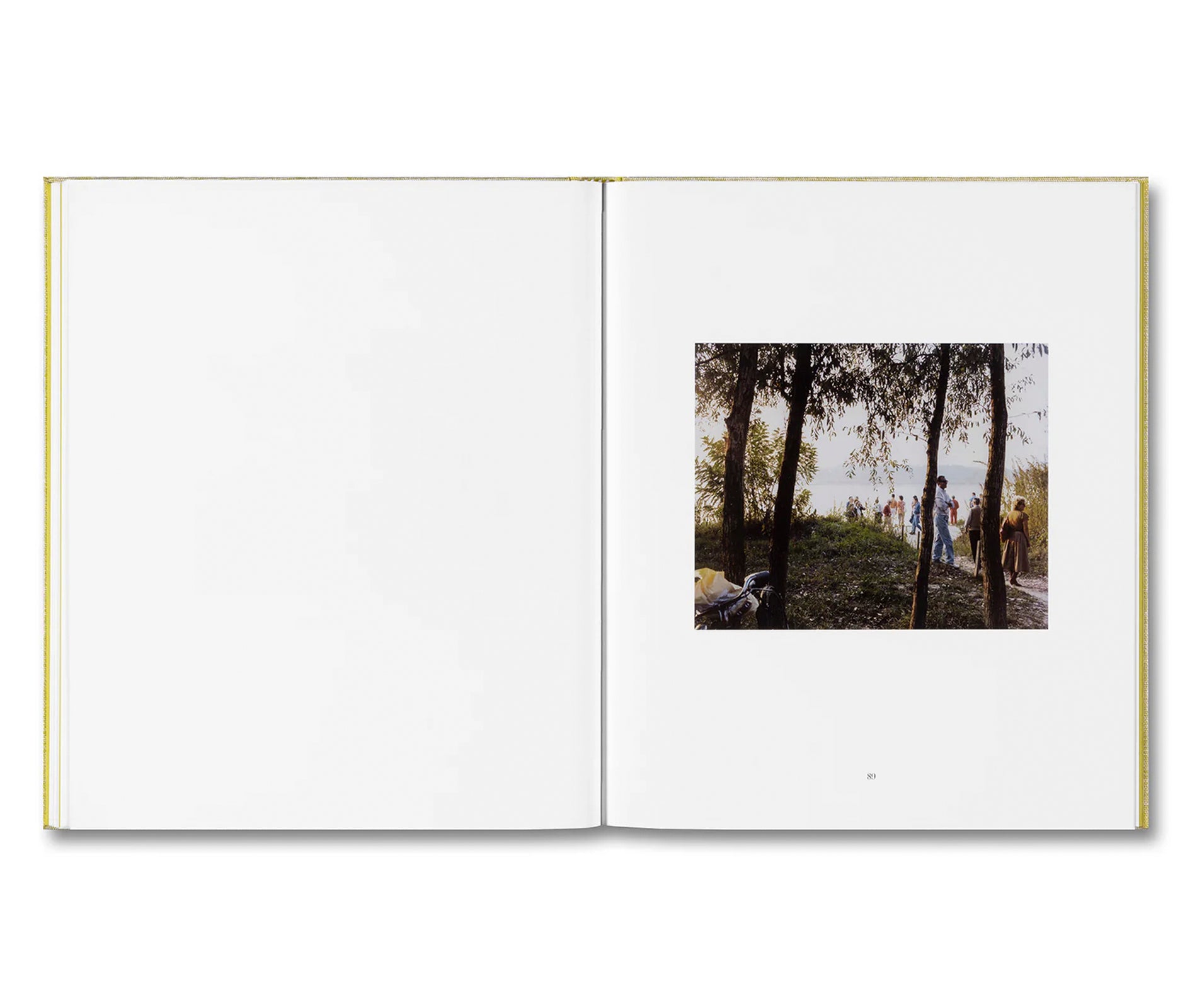 LUIGI GHIRRI FELICITÀ by Alessio Bolzoni, Luca Guadagnino