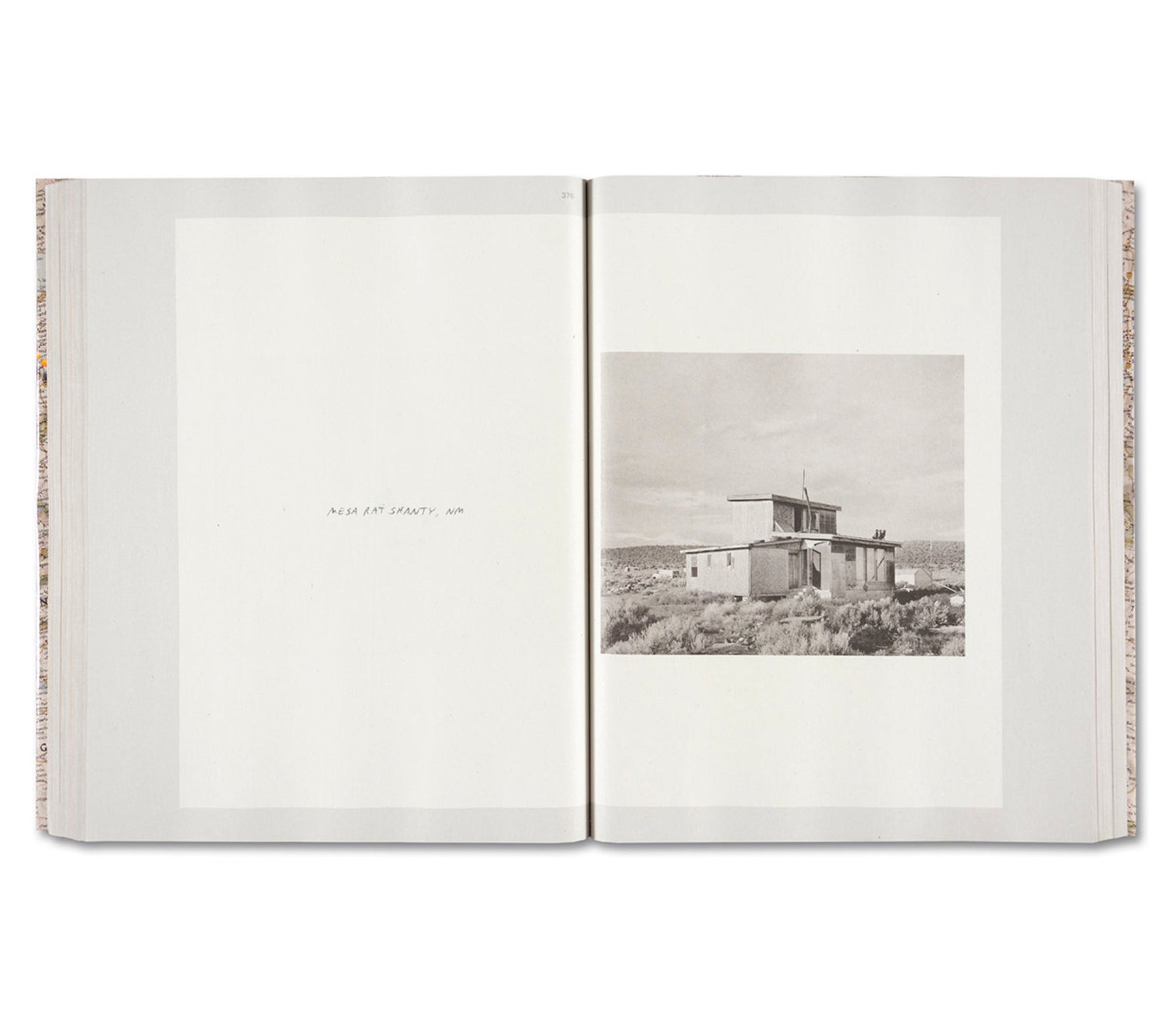 GATHERED LEAVES ANNOTATED by Alec Soth