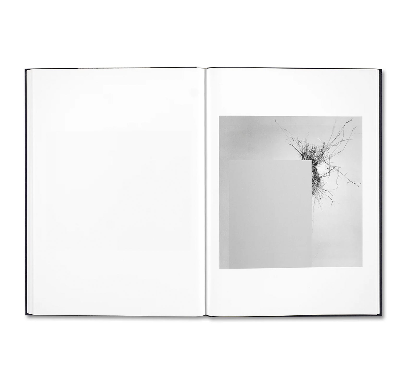 EVIDENCE by James White