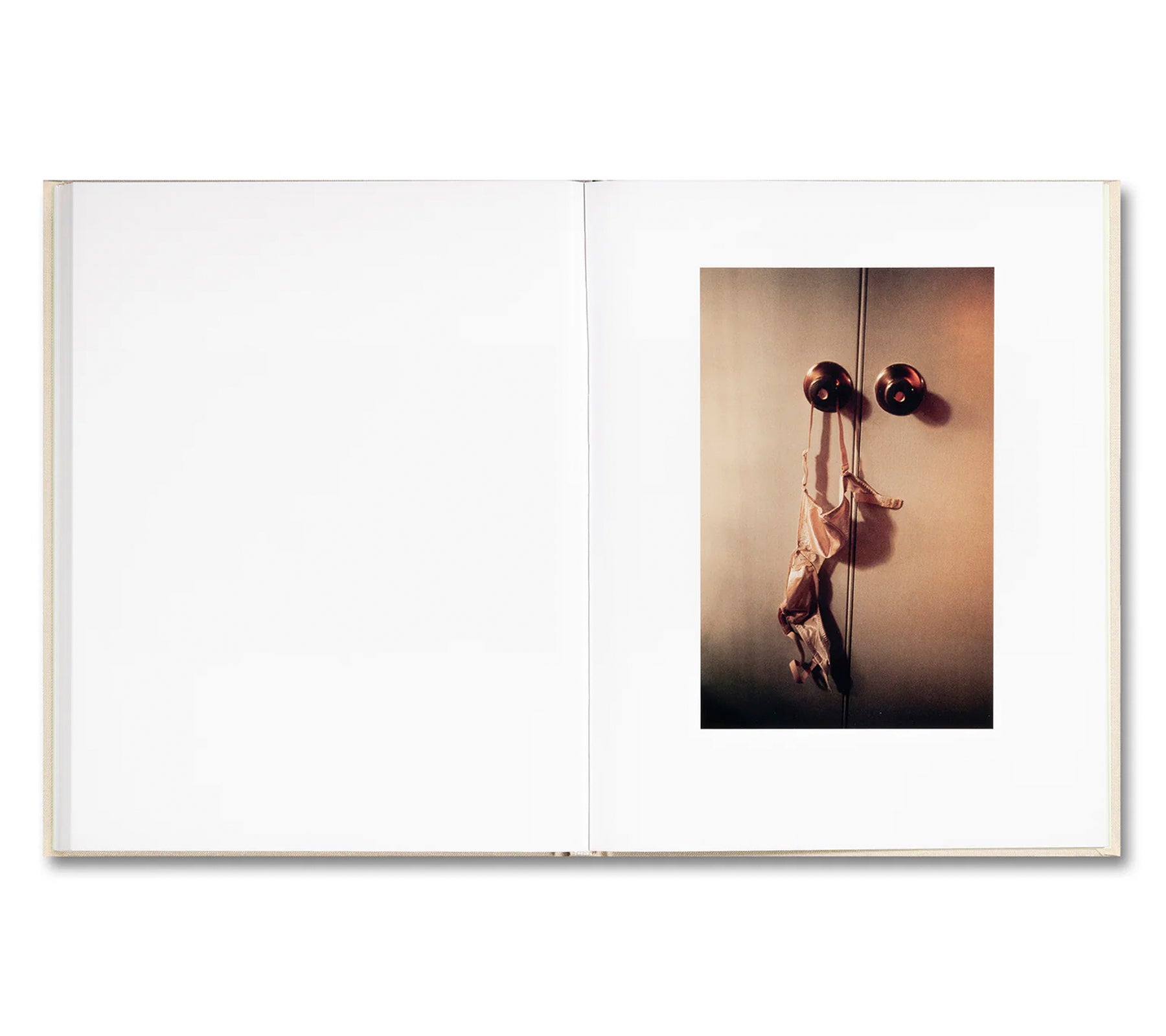 THE VIRGIN SUICIDES by Sofia Coppola