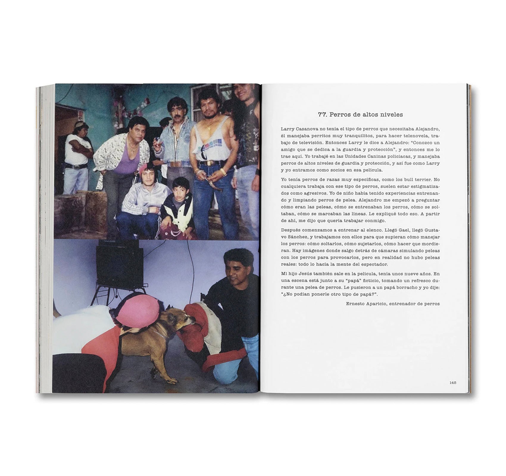DESATAR AMORES PERROS by Fernando Llanos [SPANISH EDITION]