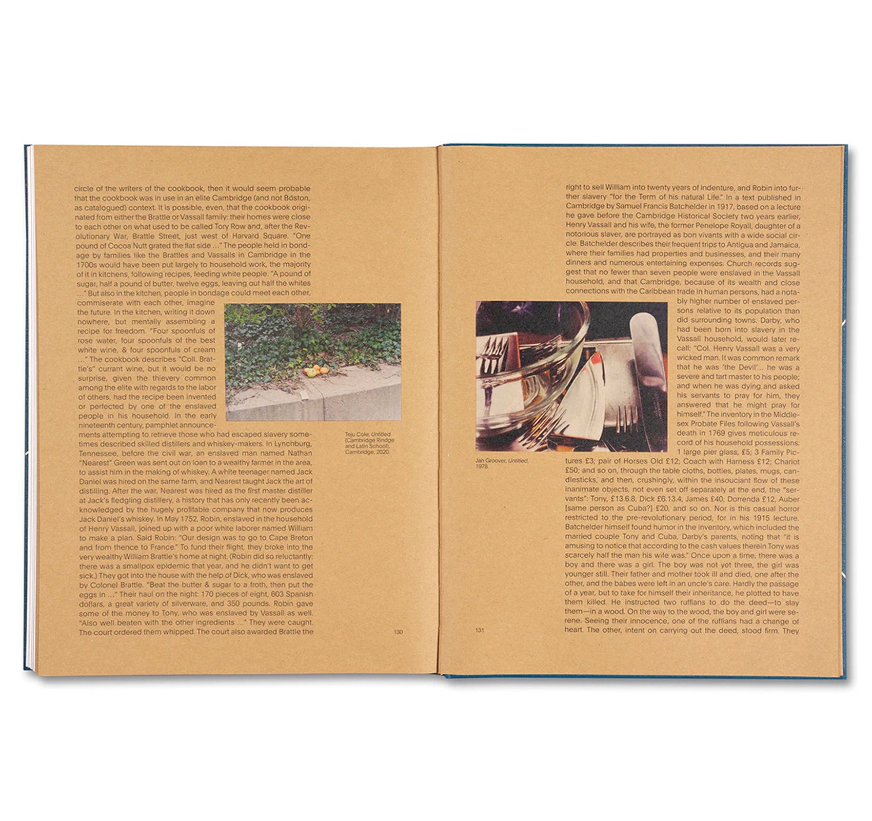 GOLDEN APPLE OF THE SUN by Teju Cole