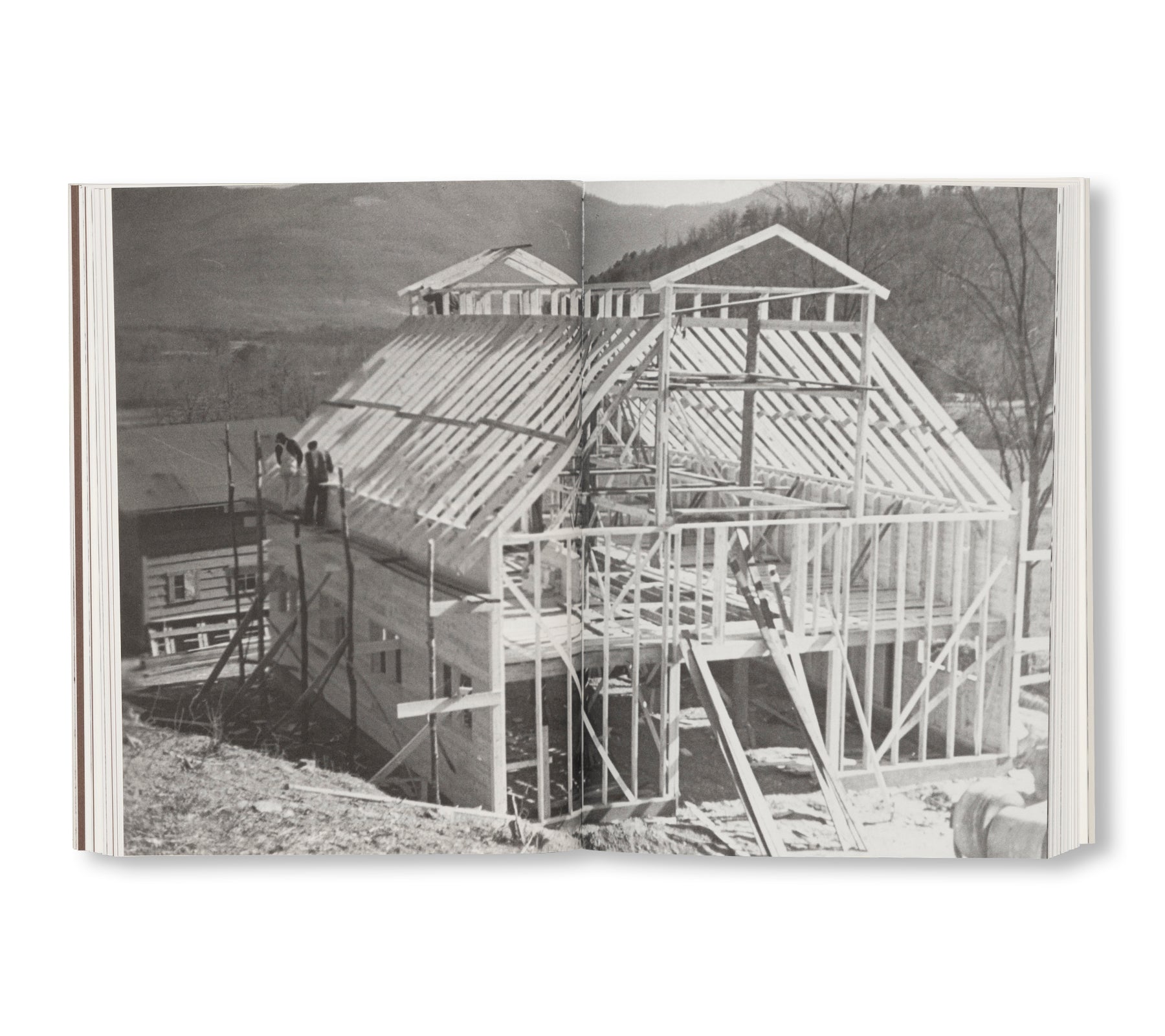 THE FARM AT BLACK MOUNTAIN COLLEGE by David Silver